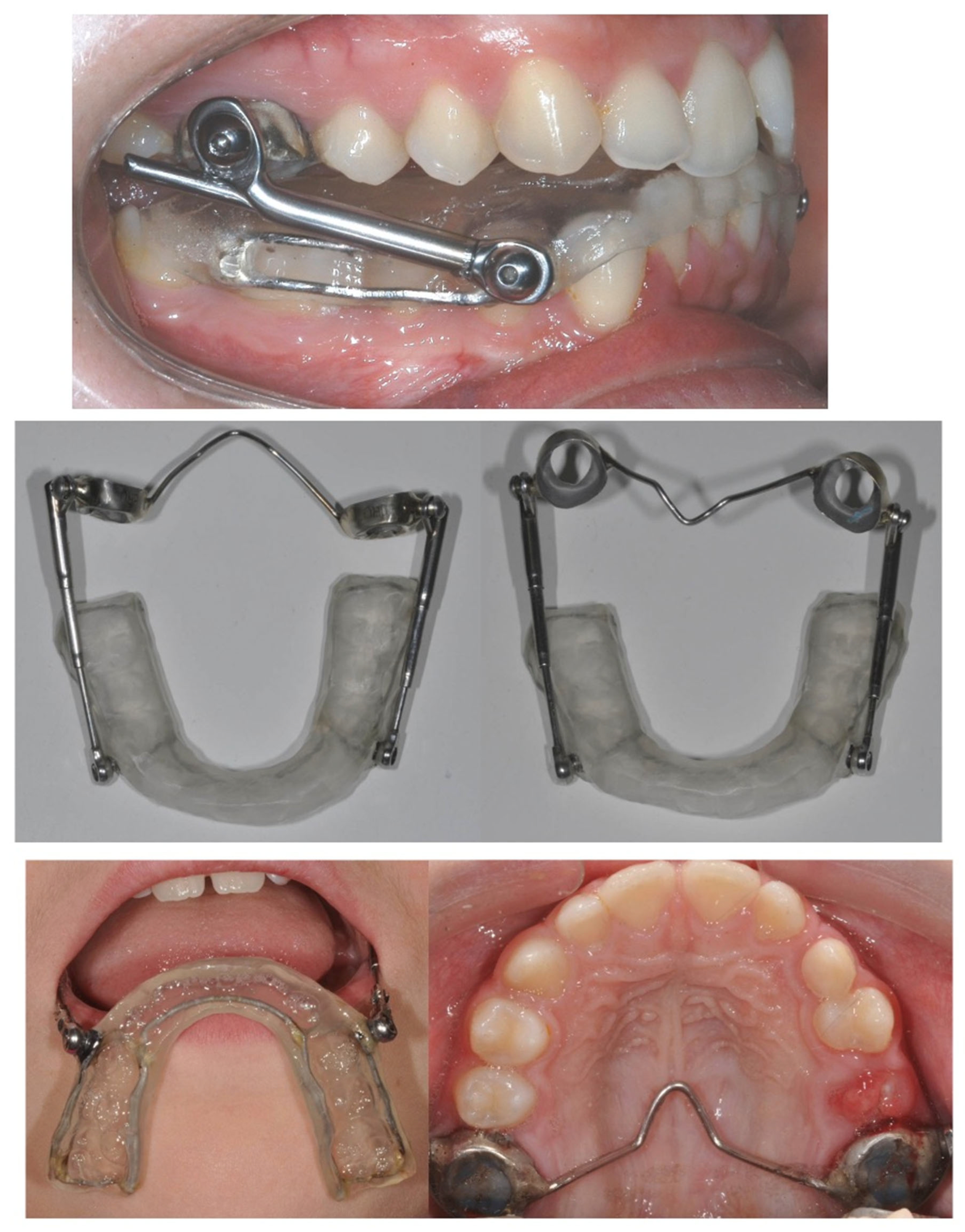 Oral 05 00046 g001