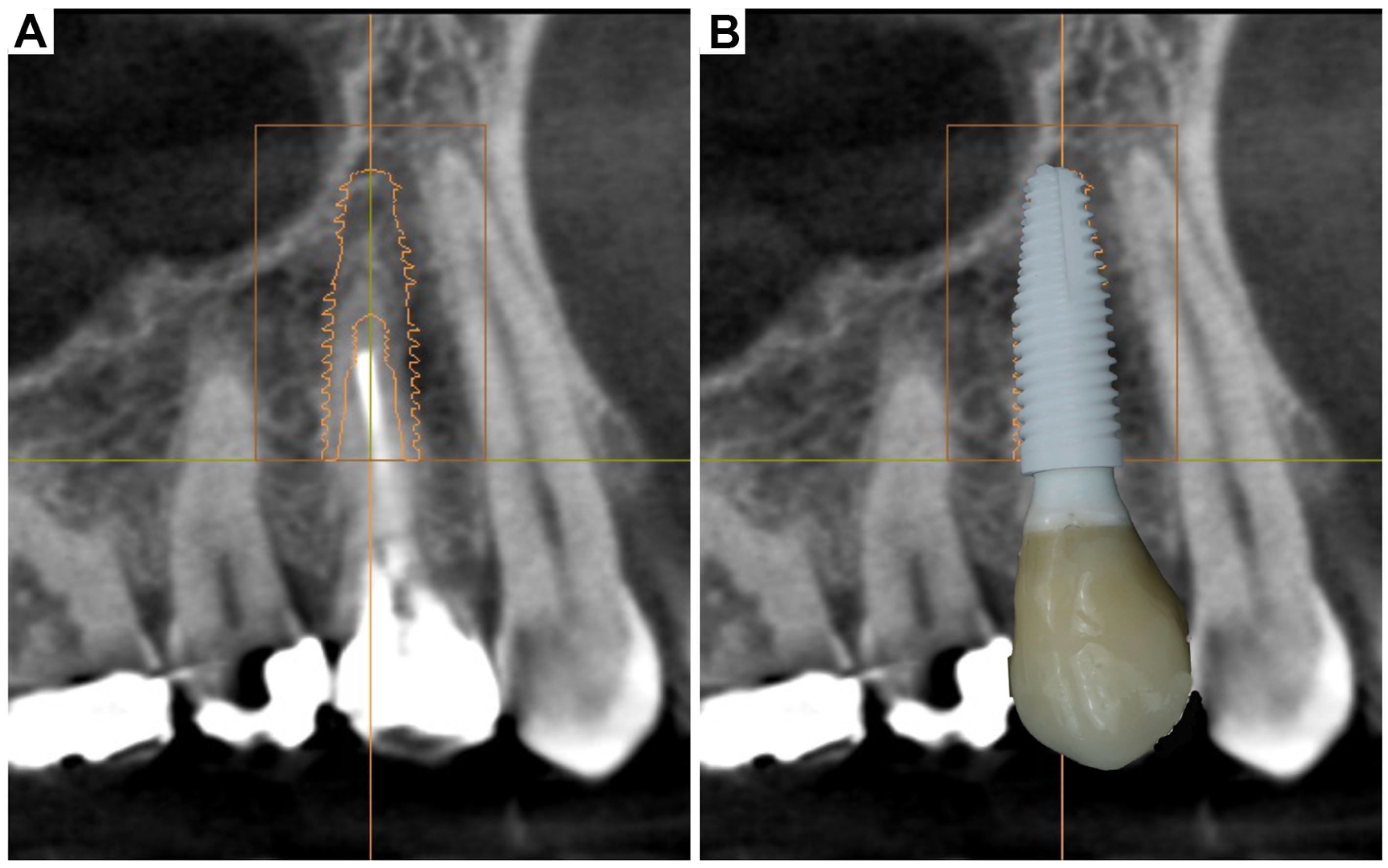 Oral 05 00053 g007 Oral 05 00053 g007
