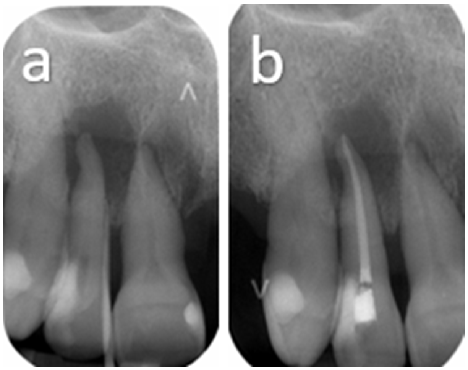 Oral 06 00085 g001 Oral 06 00085 g001