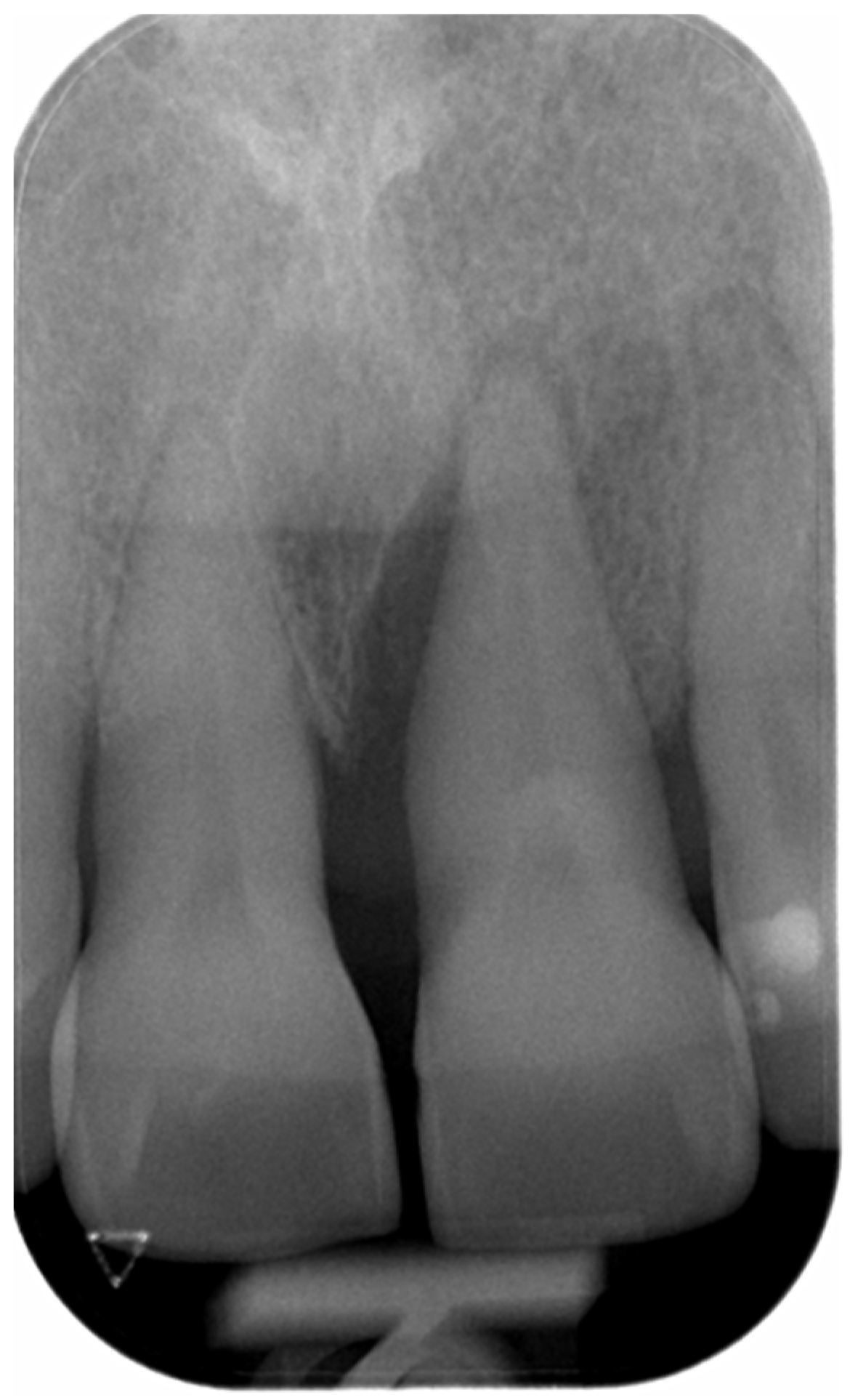 Oral 06 00085 g003 Oral 06 00085 g003