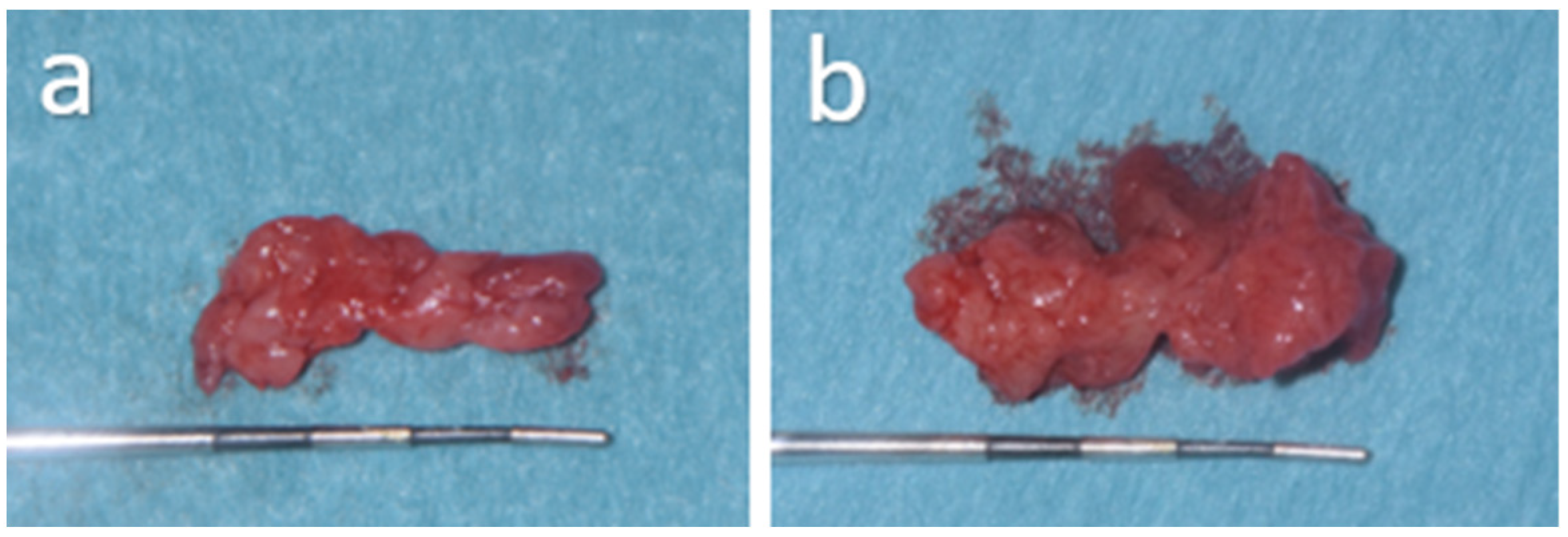 Oral 06 00085 g008 Oral 06 00085 g008