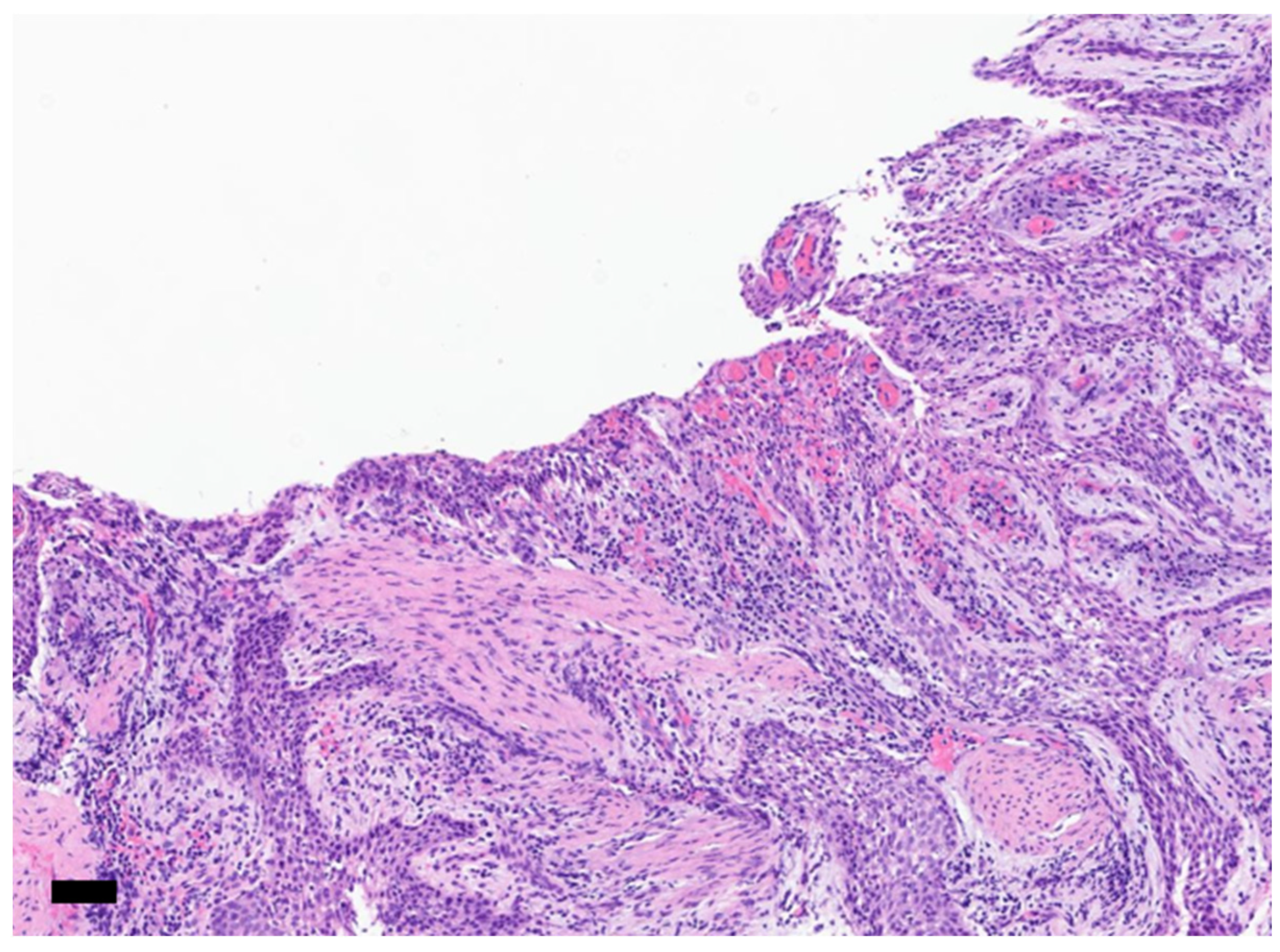 Oral 06 00085 g009 Oral 06 00085 g009