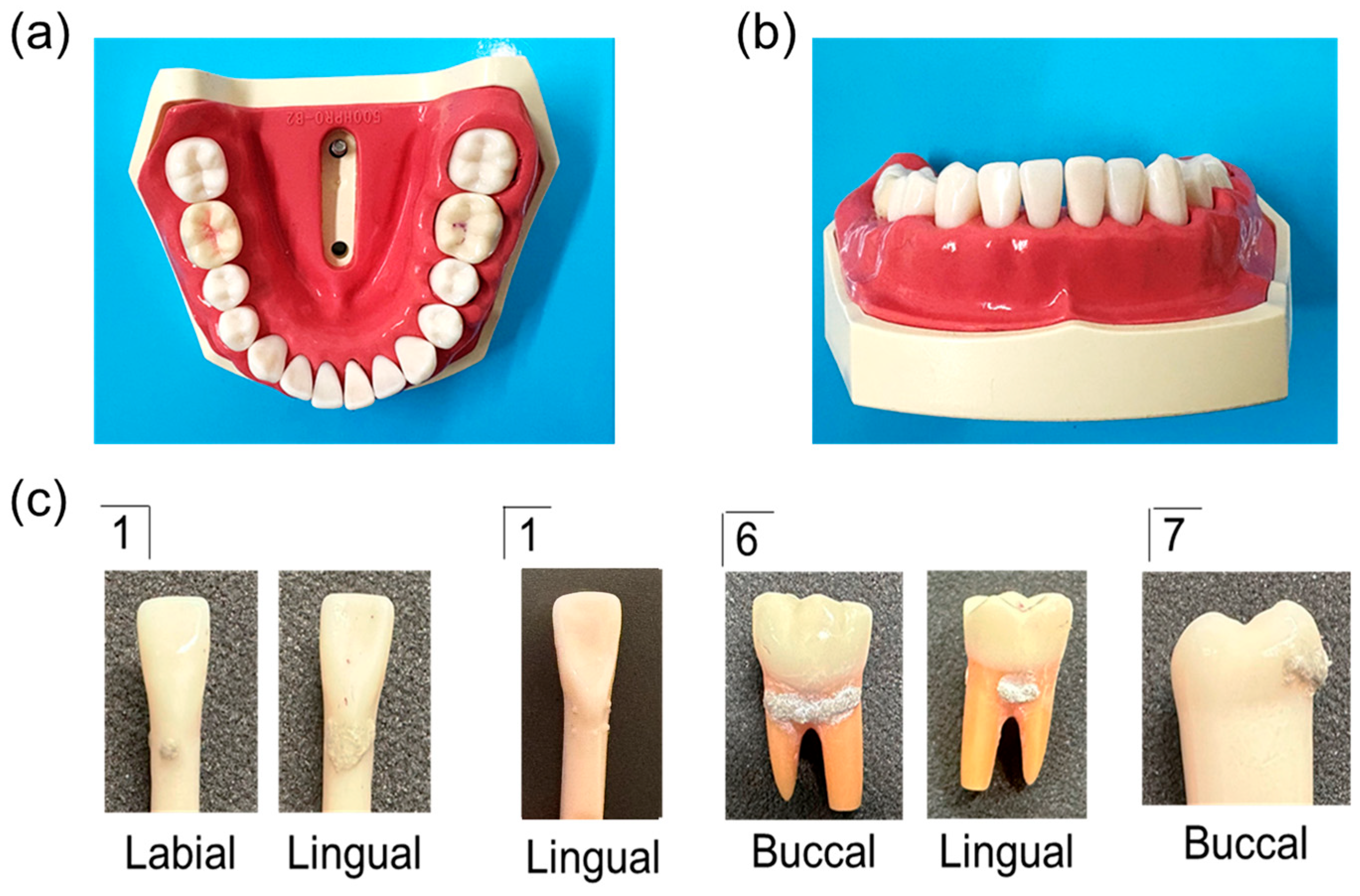 Oral 06 00087 g001 Oral 06 00087 g001