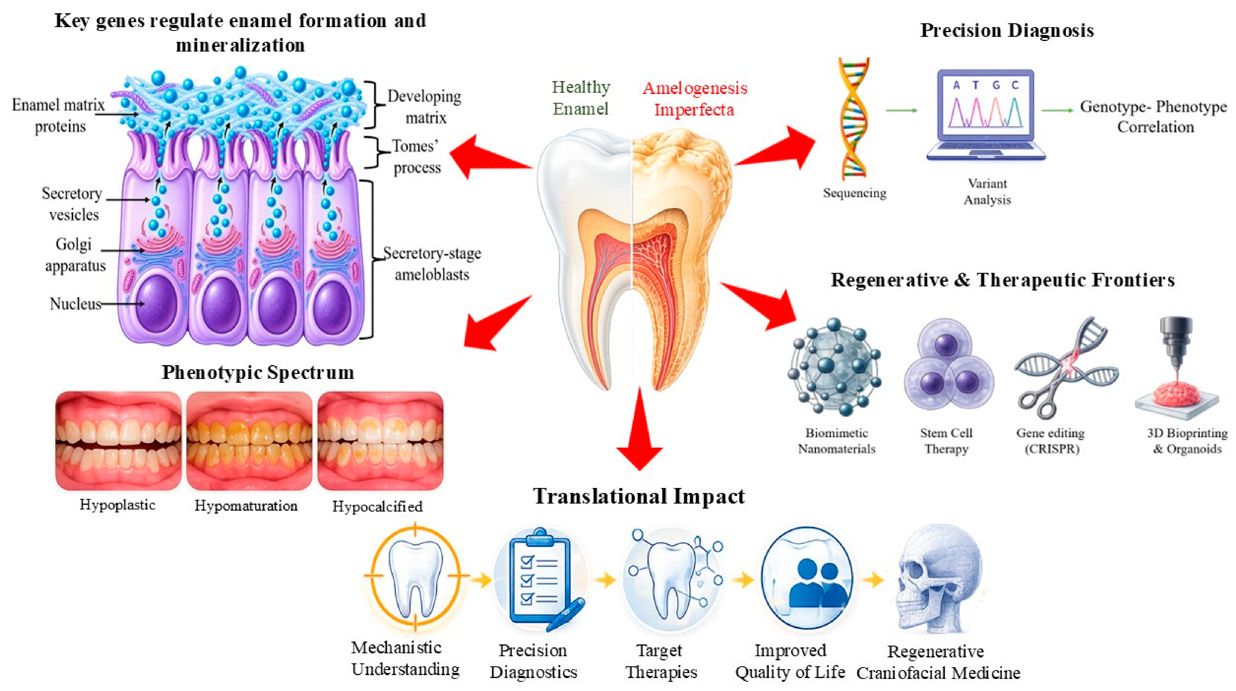 Oral 06 00139 g001 Oral 06 00139 g001