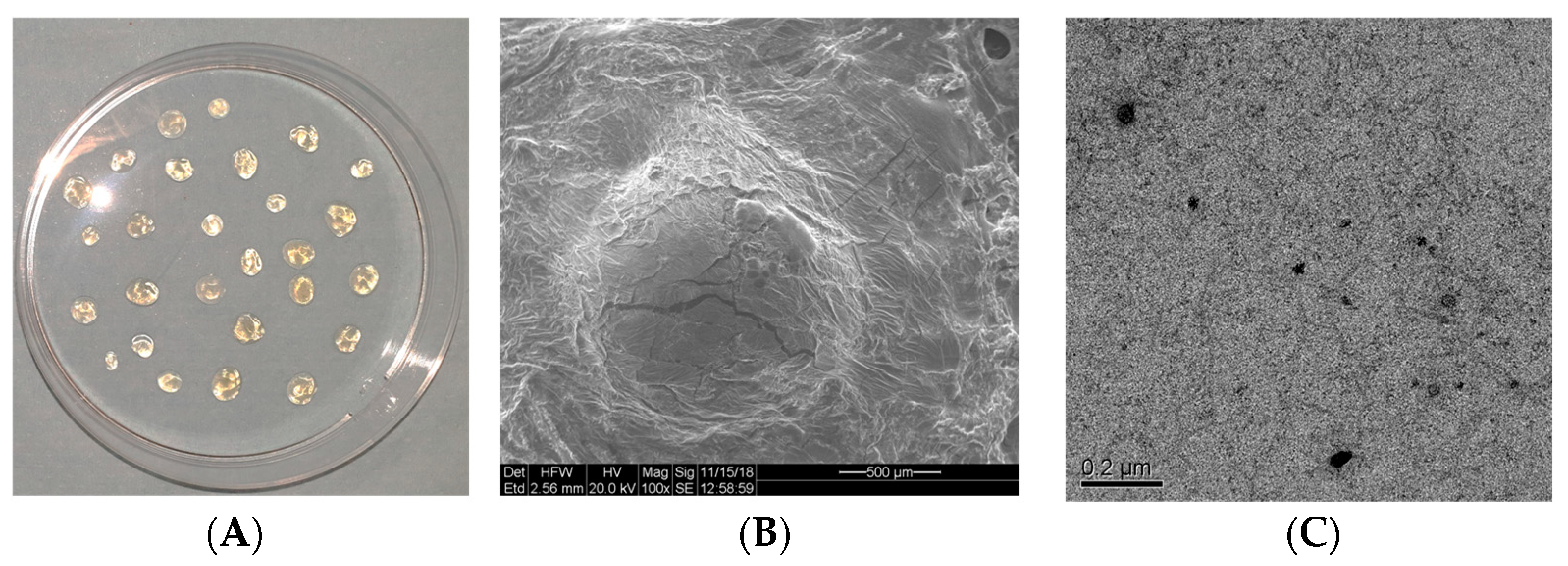 Organics 02 00005 g002