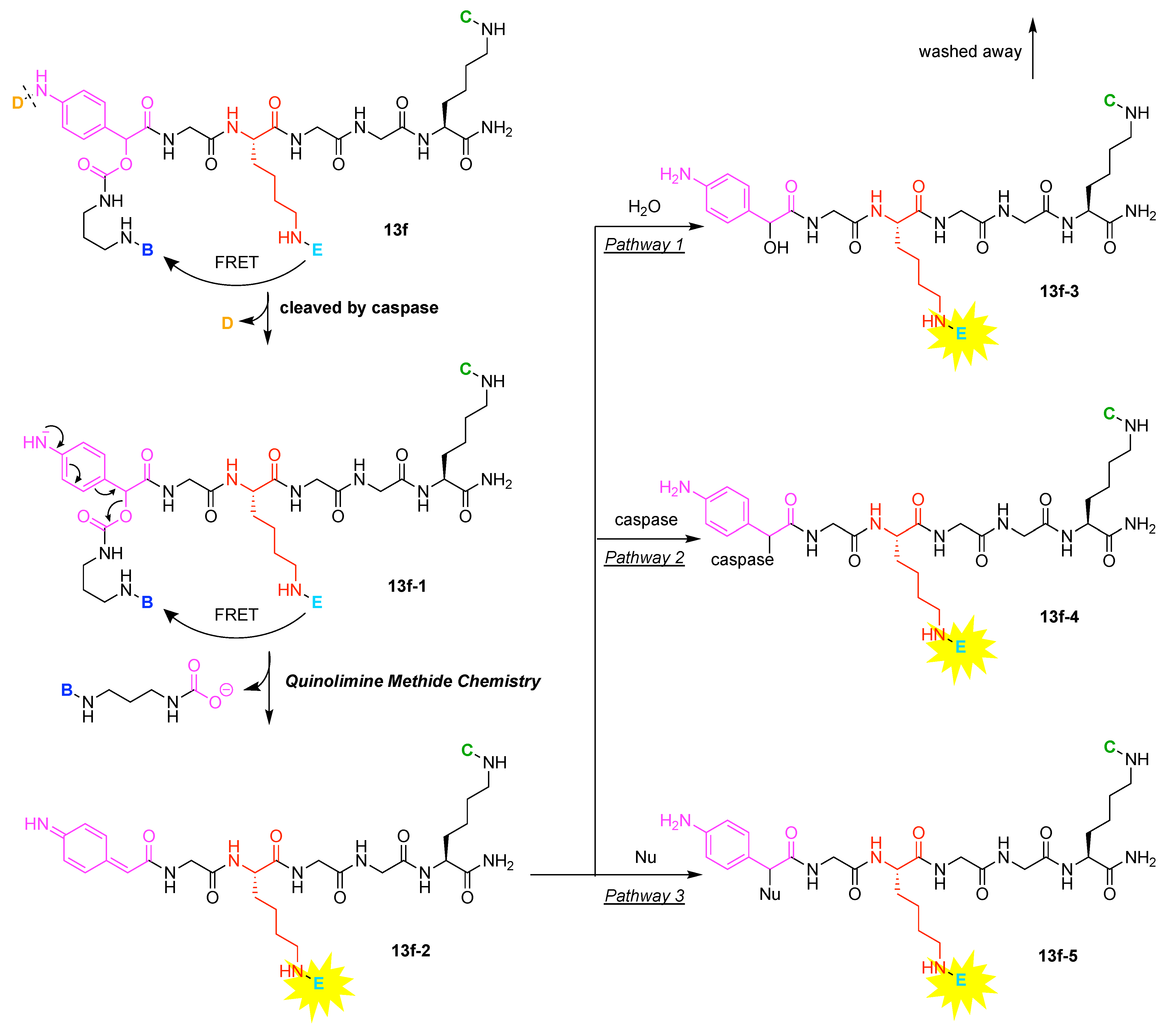 Organics 02 00013 g066