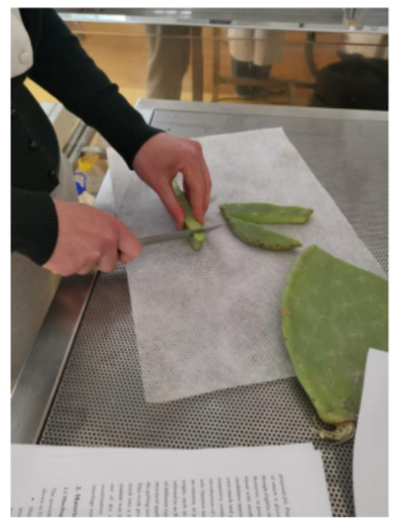 Organics 04 00021 g001