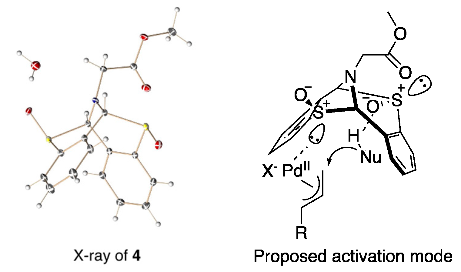 Organics 04 00023 g002