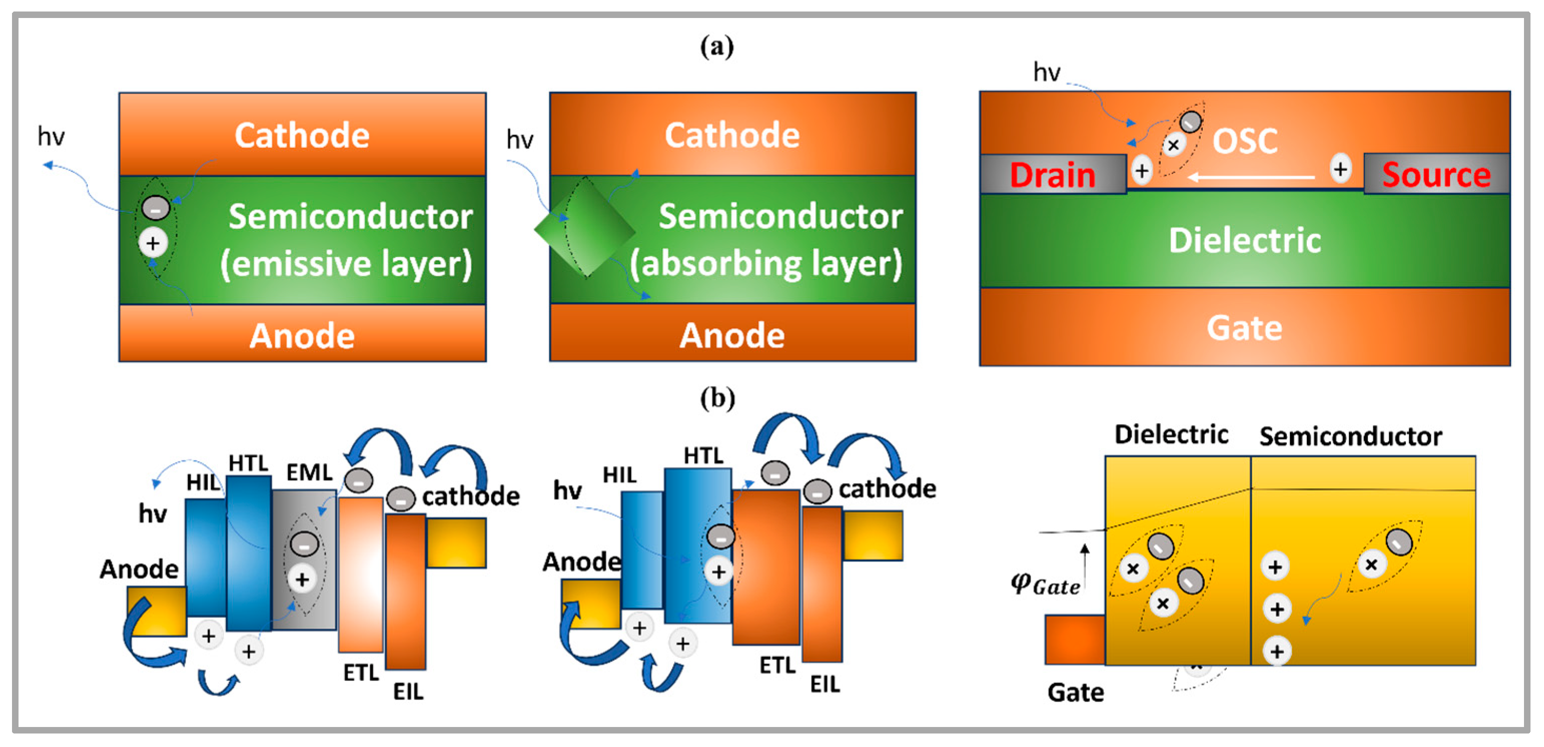 Organics 05 00028 g009