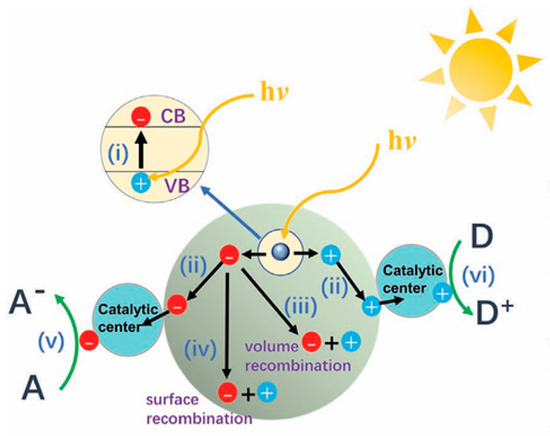 Organics 06 00022 g005