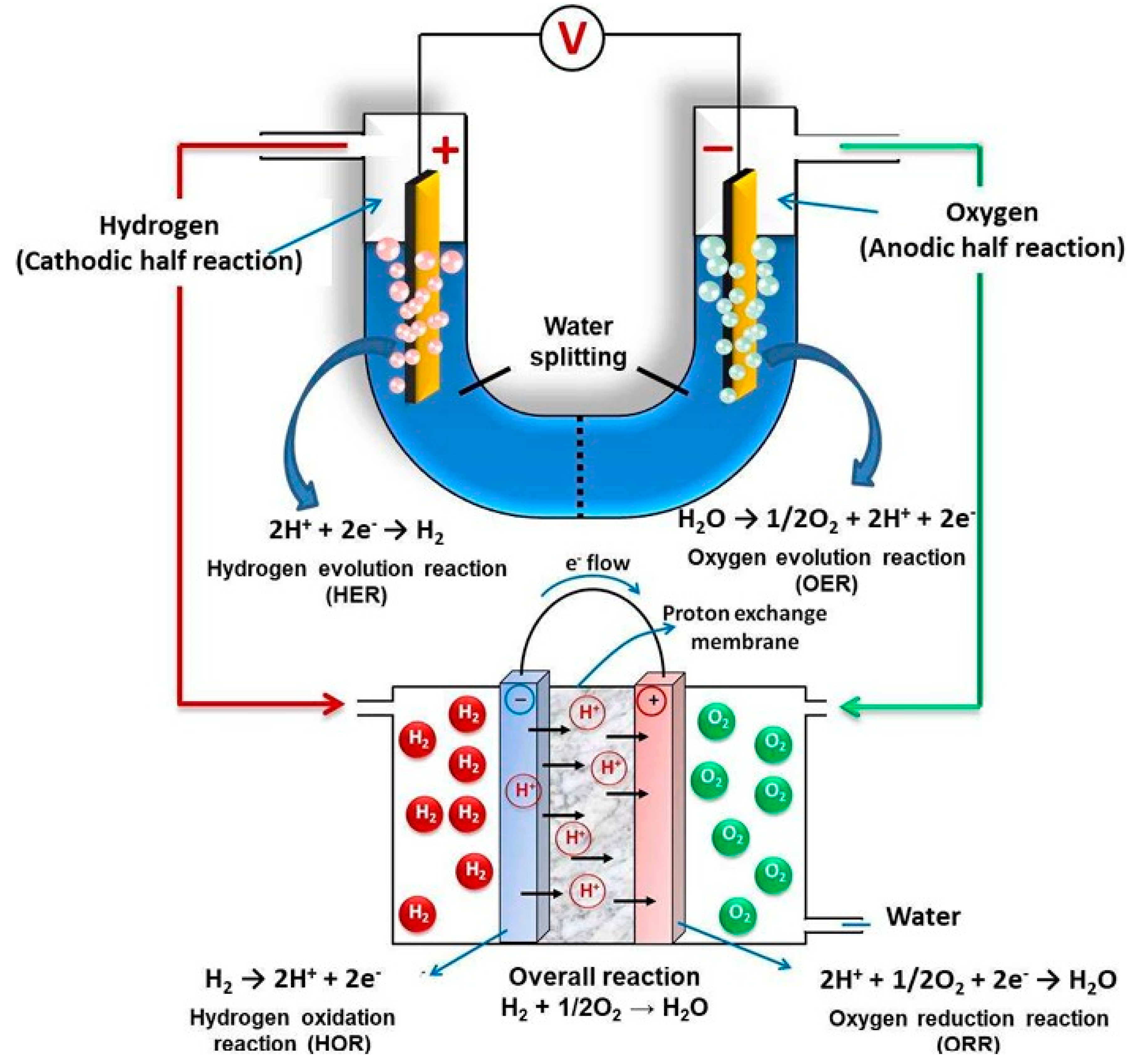 Organics 06 00022 g007