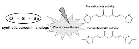 Possible biomedical application of curcuminoids through PDT.