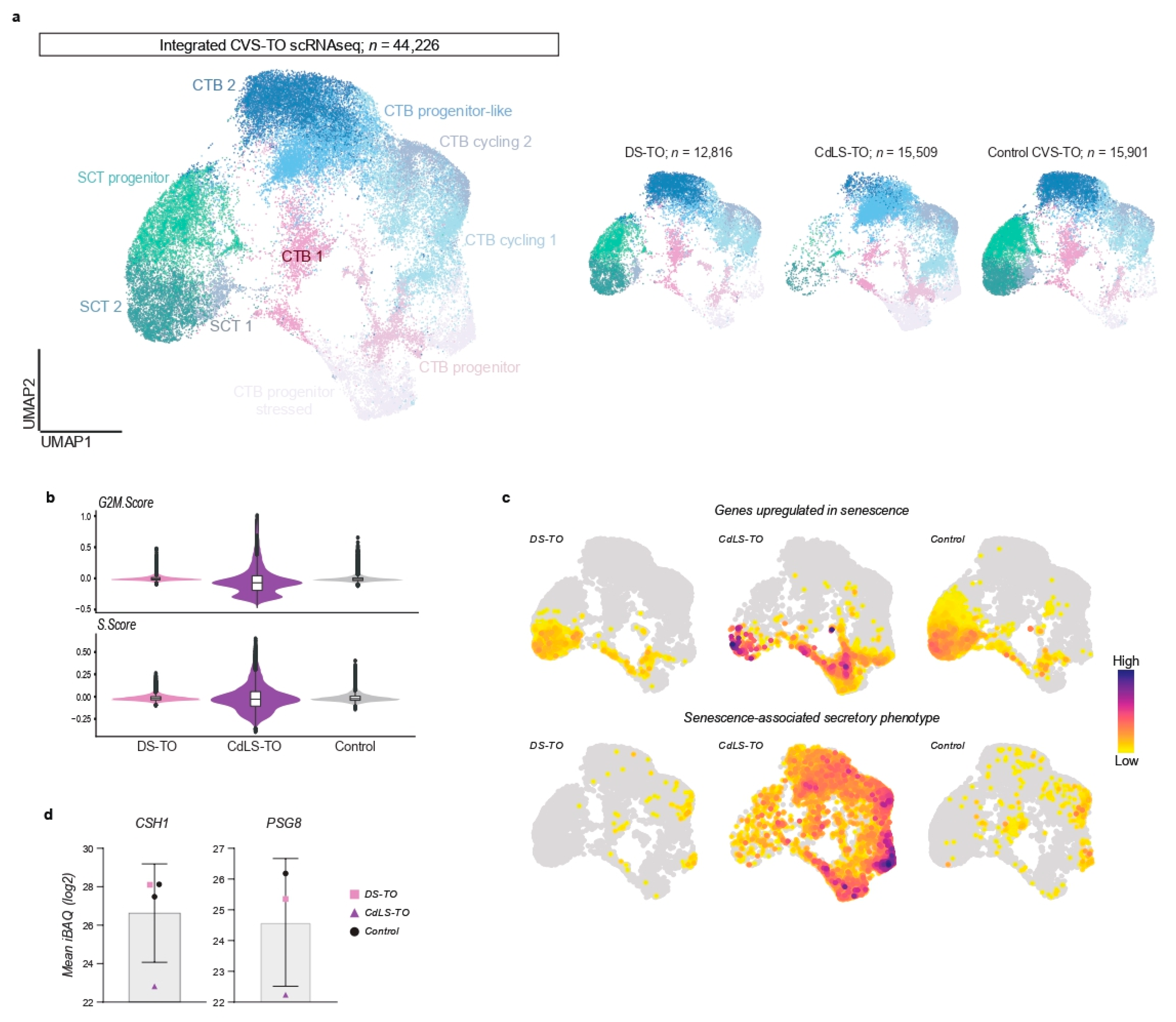 Organoids 01 00009 g002