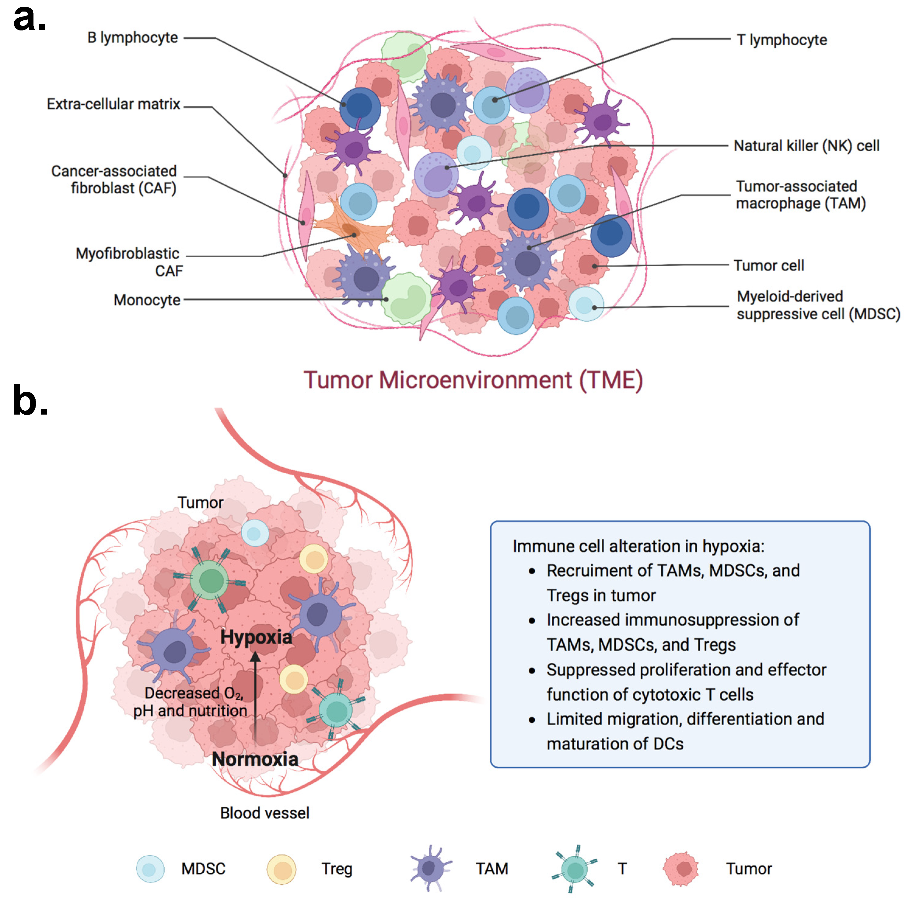 Organoids 01 00012 g001