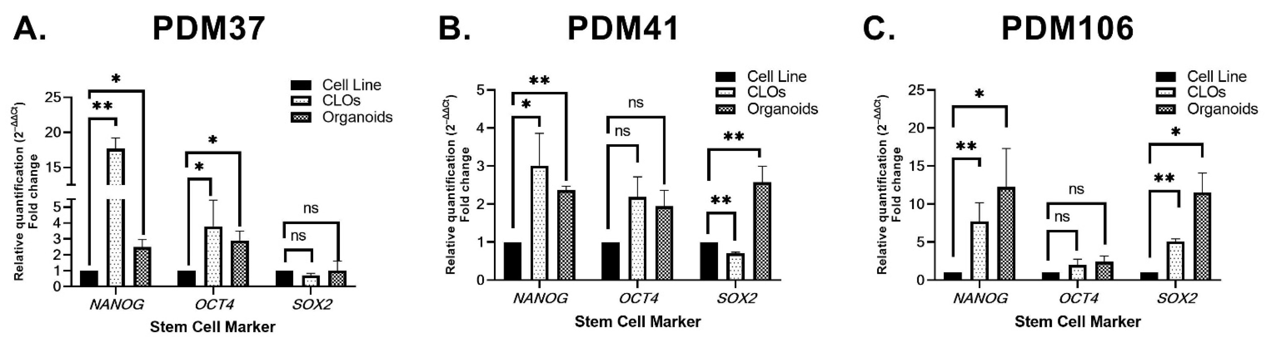 Organoids 01 00013 g004