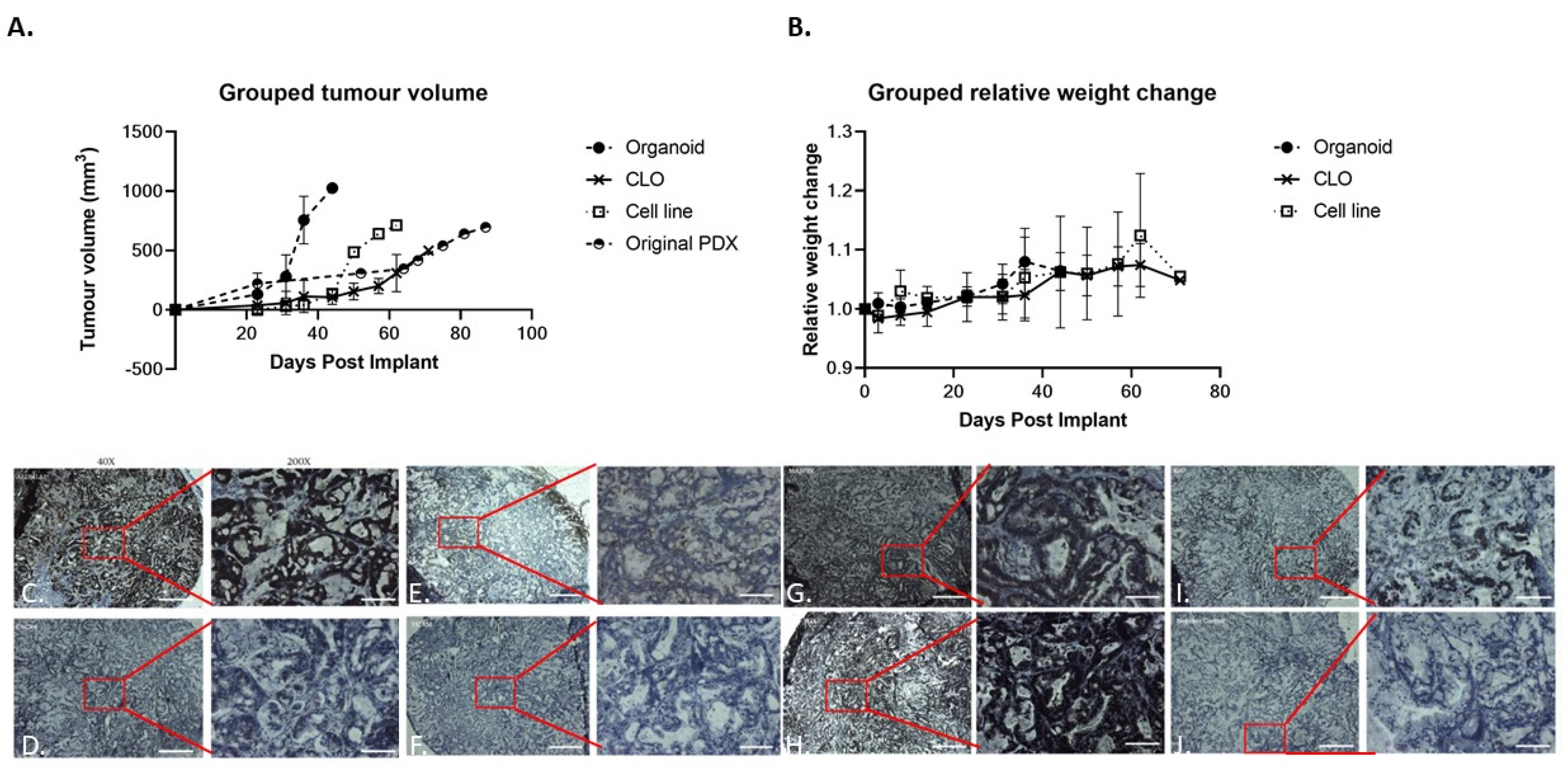 Organoids 01 00013 g006
