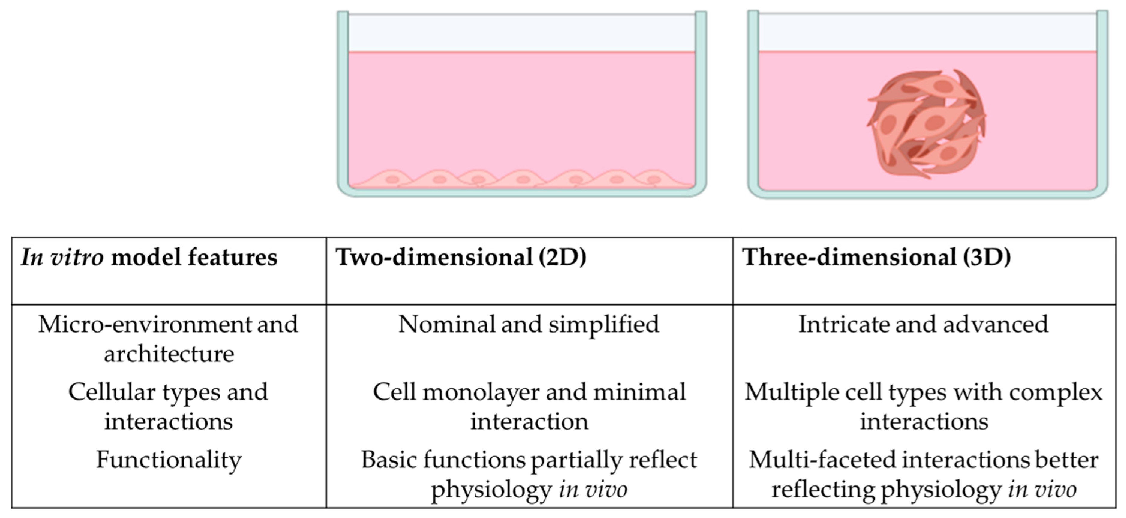Organoids 02 00010 g001