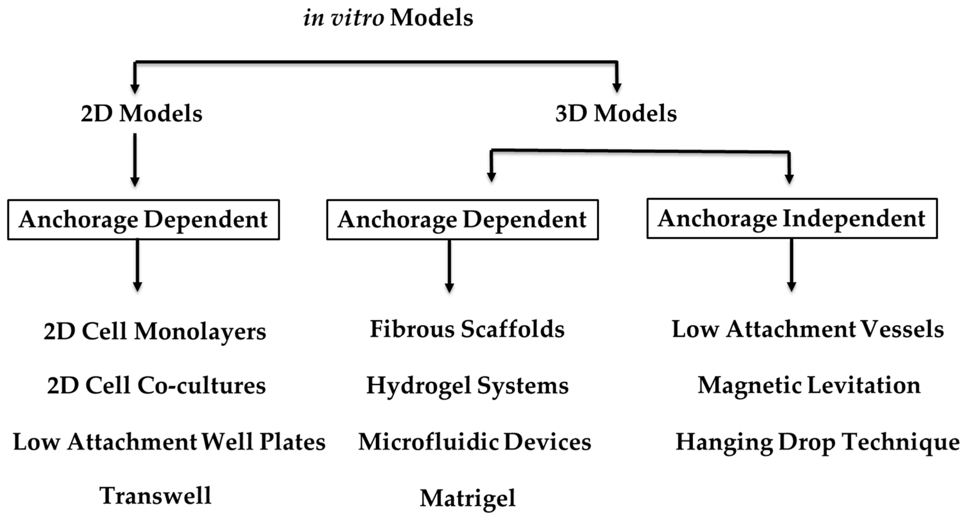Organoids 02 00010 g002
