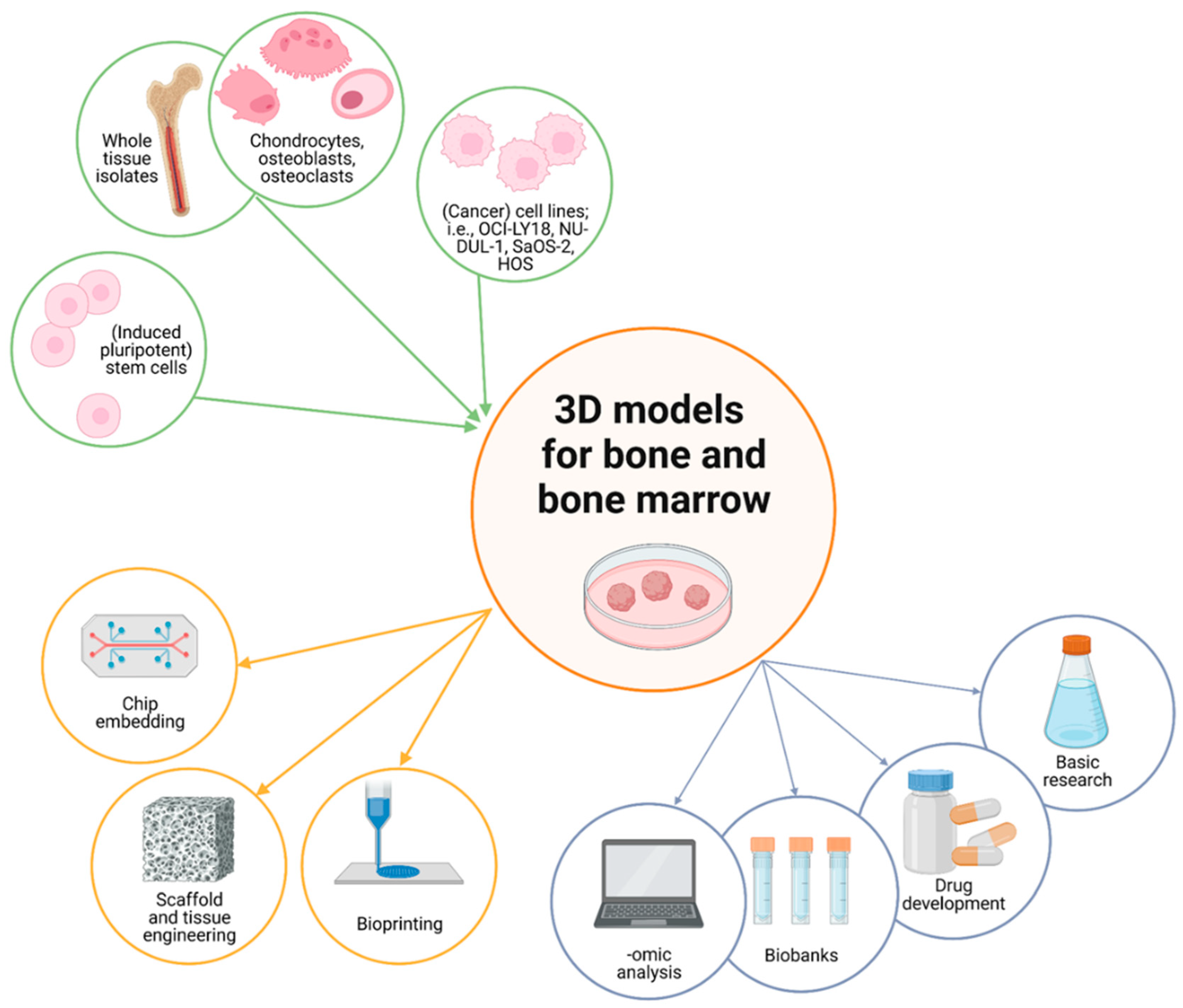 Organoids 02 00010 g004