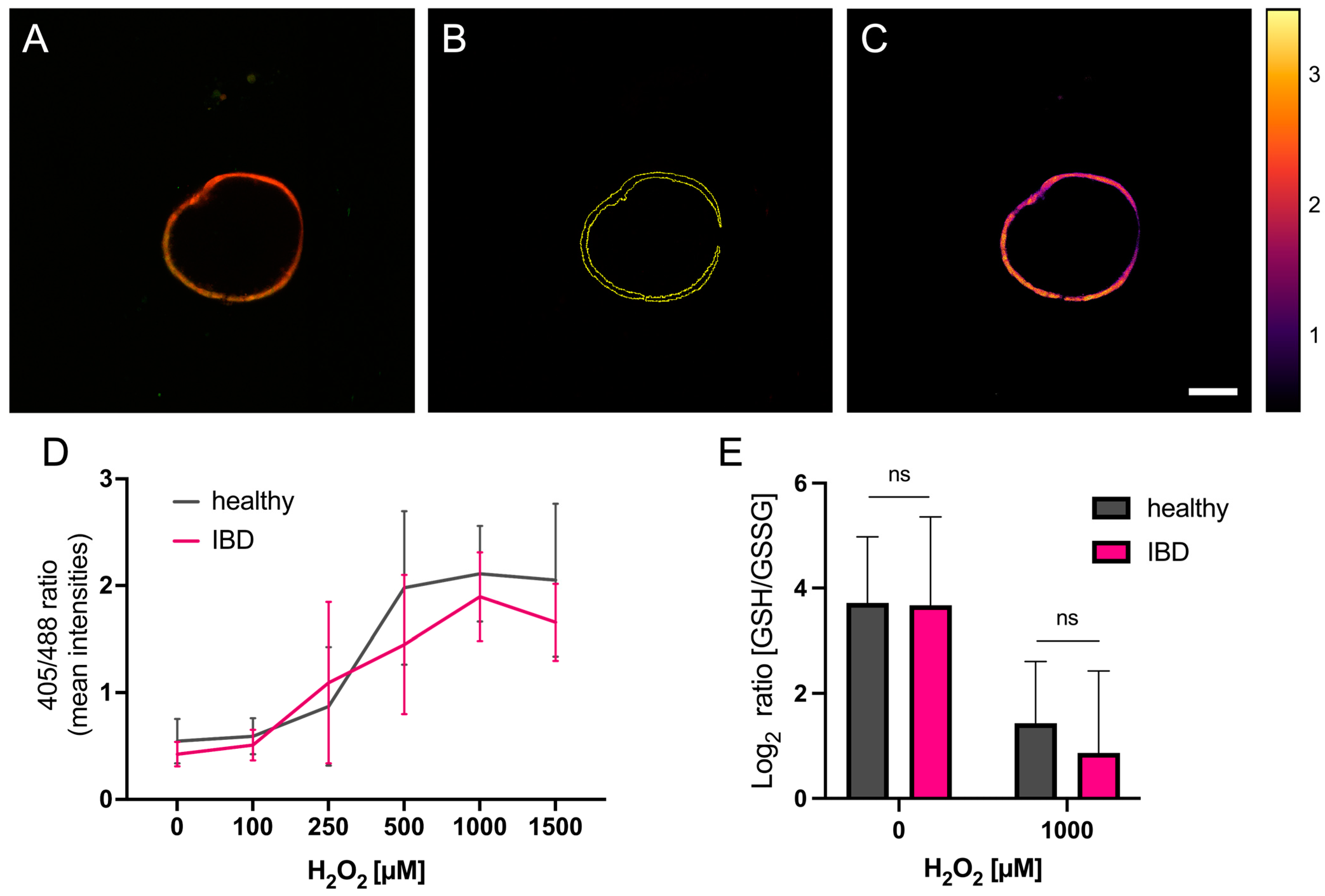 Organoids 02 00012 g002