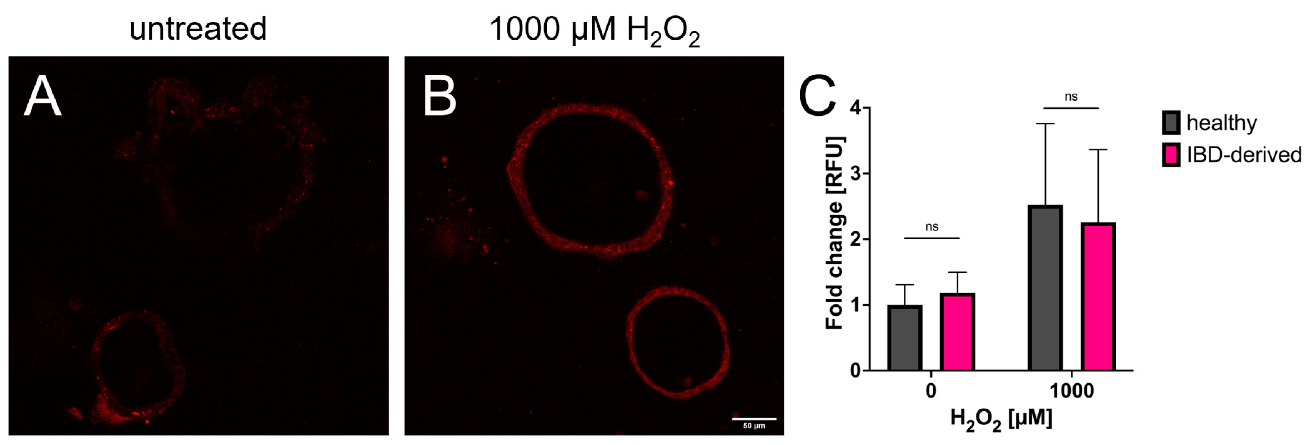 Organoids 02 00012 g003