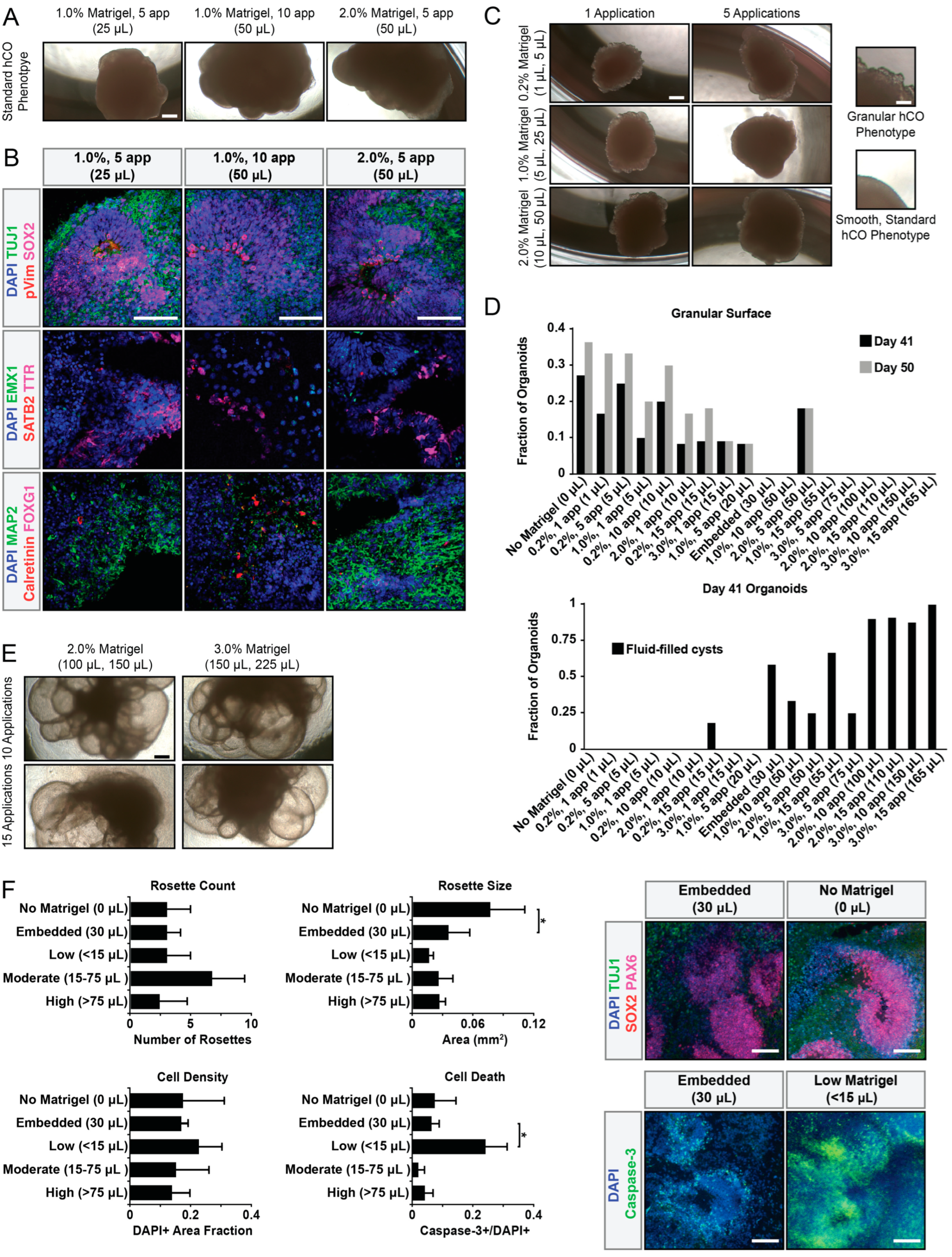Organoids 02 00013 g002