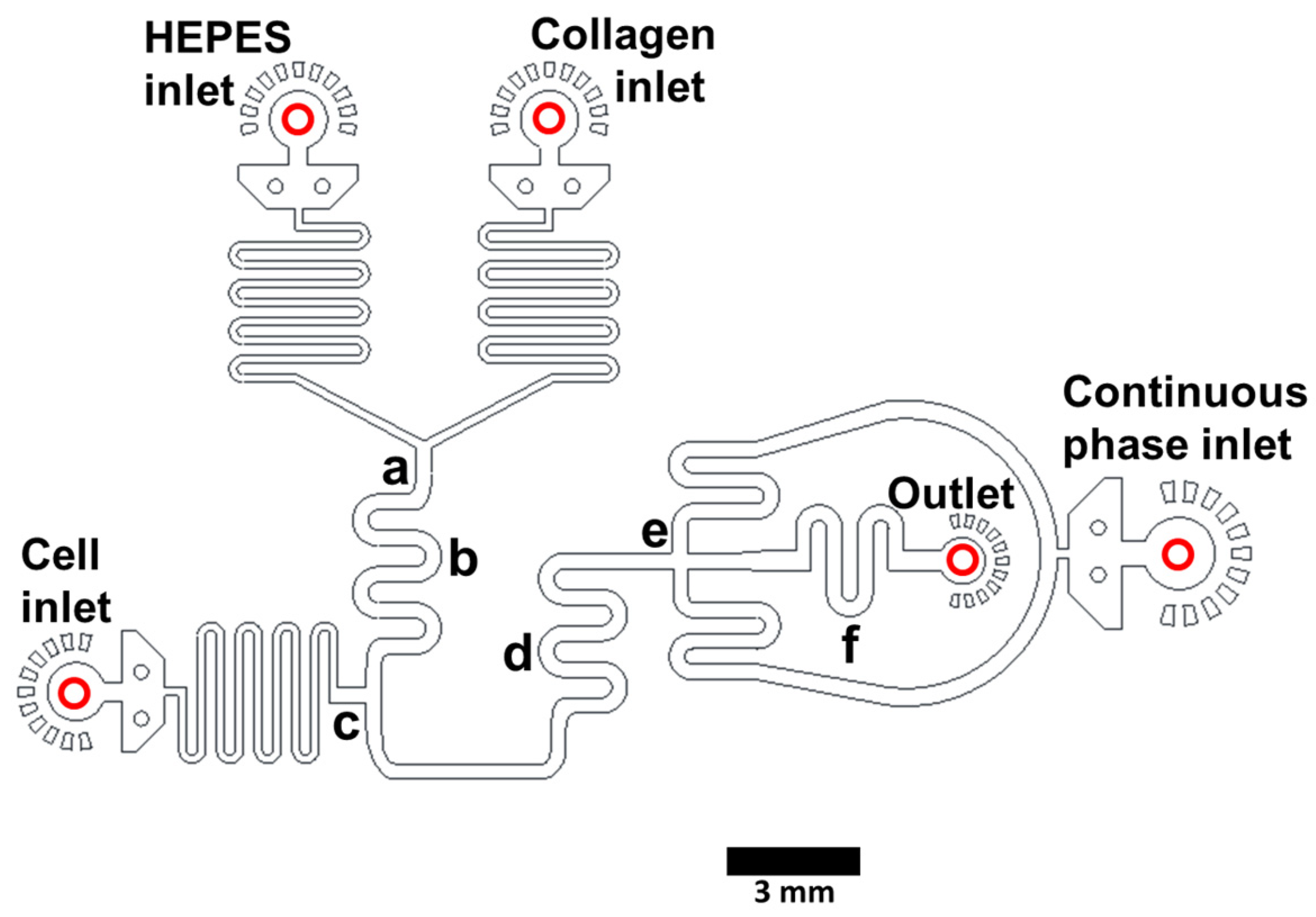 Organoids 02 00016 g001