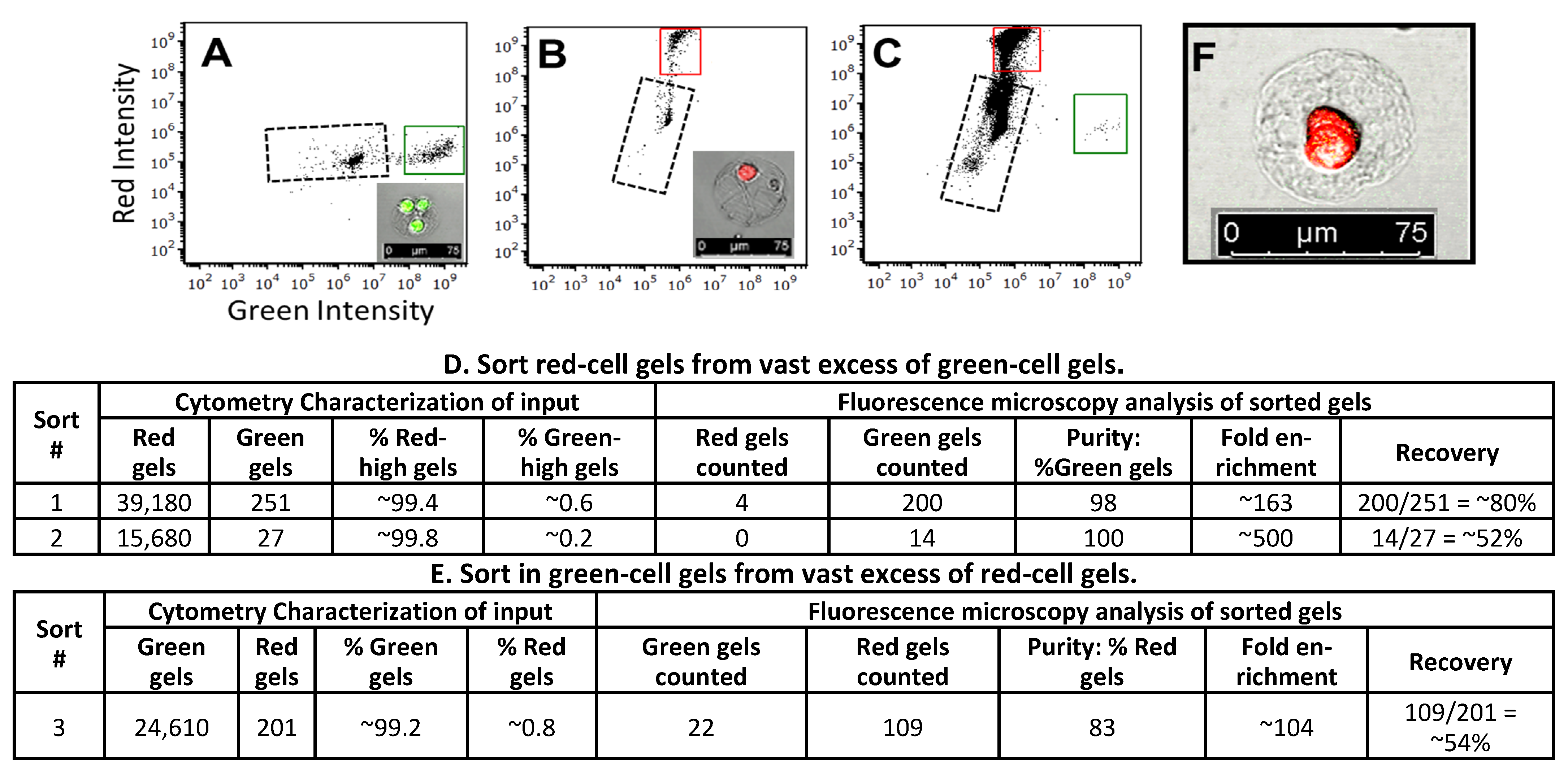Organoids 02 00016 g005