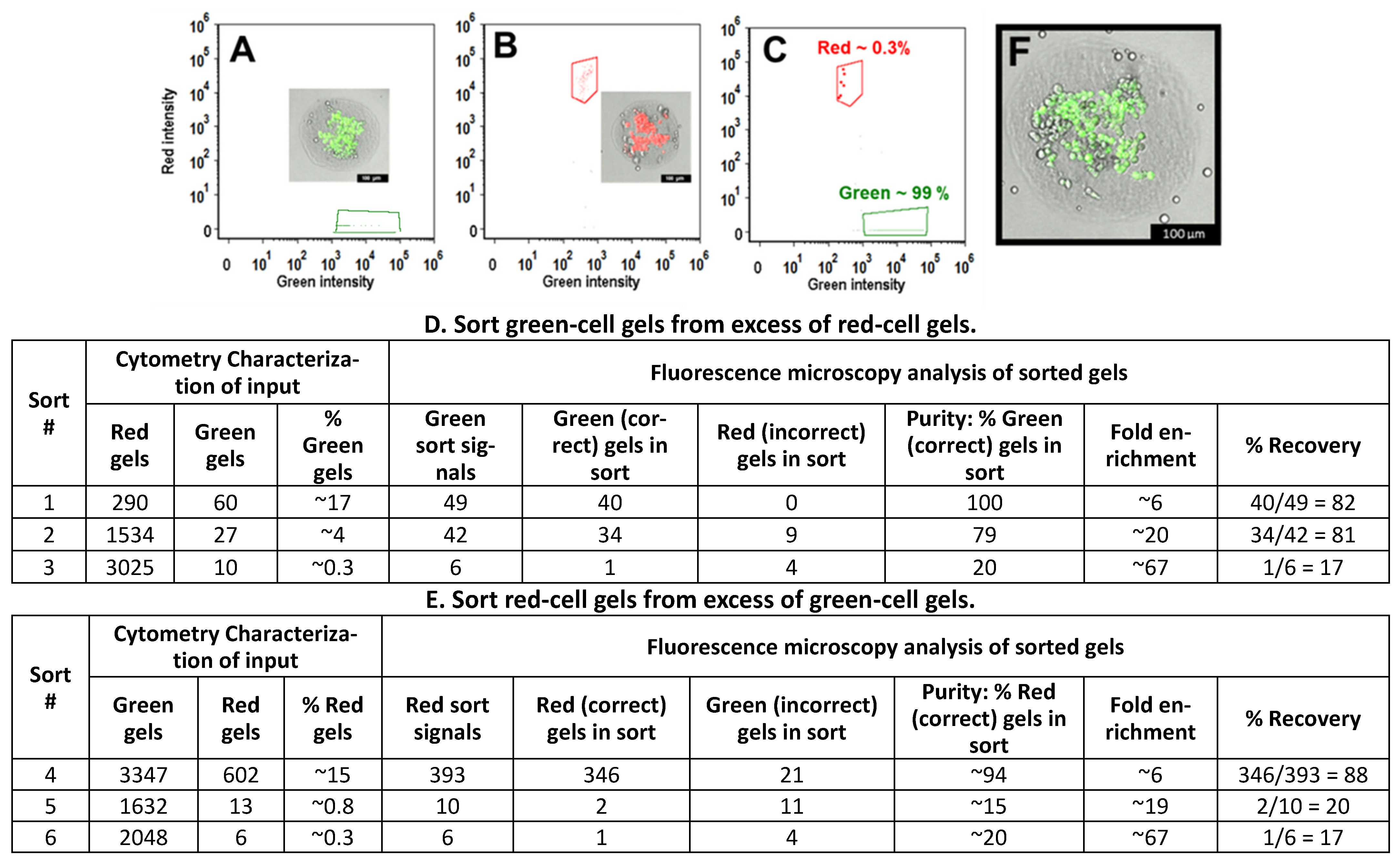 Organoids 02 00016 g006