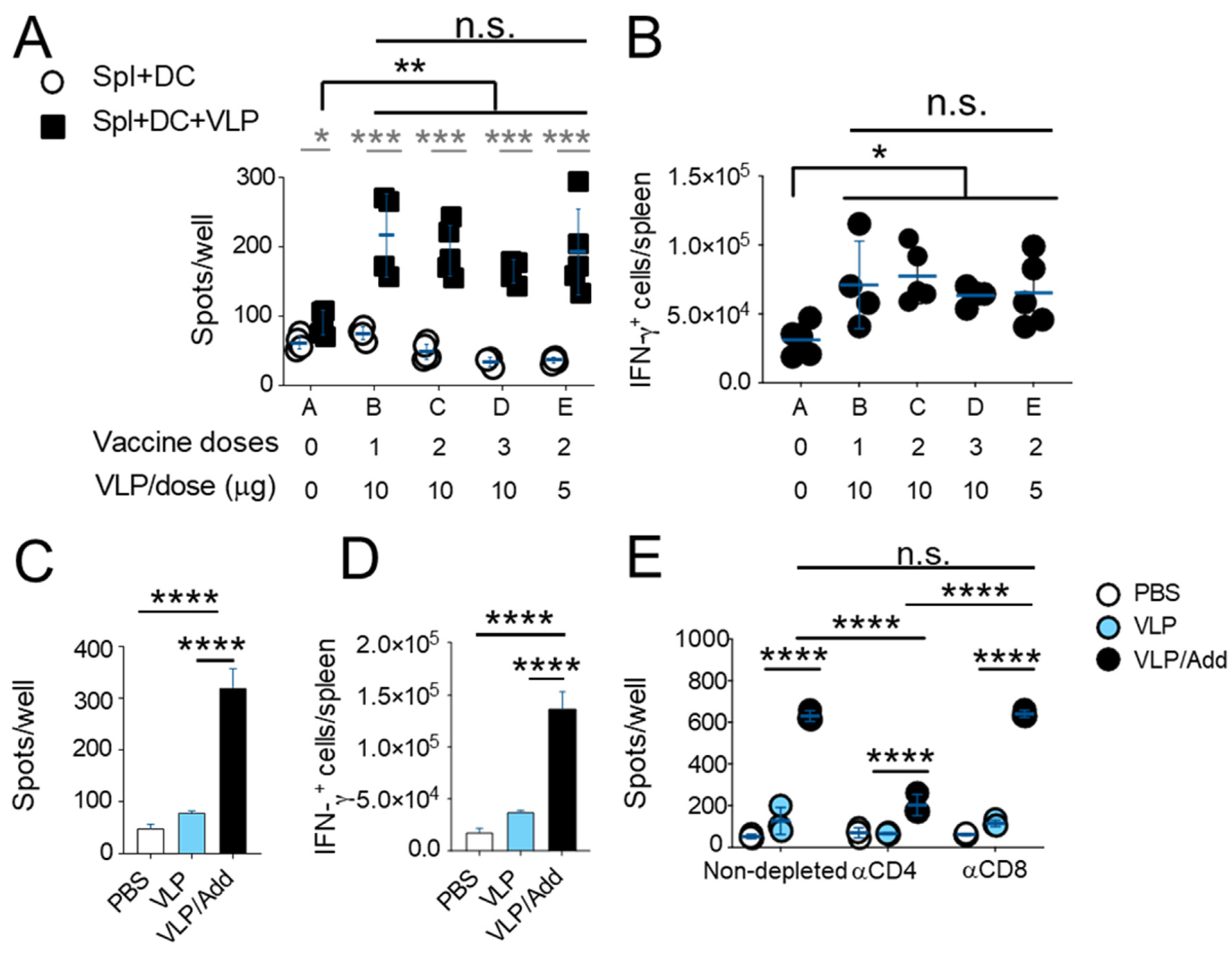 Organoids 03 00002 g004
