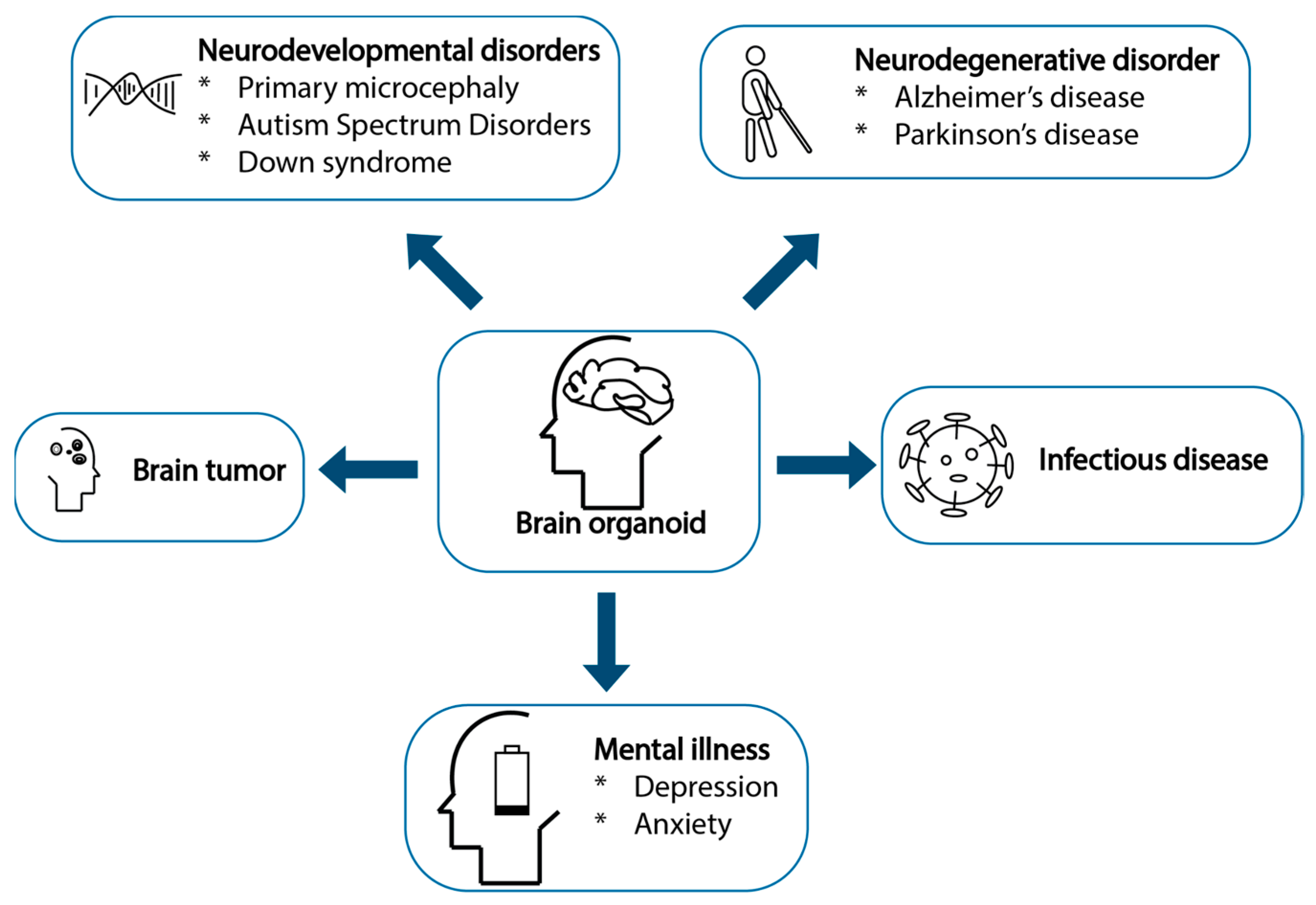 Organoids 03 00007 g002