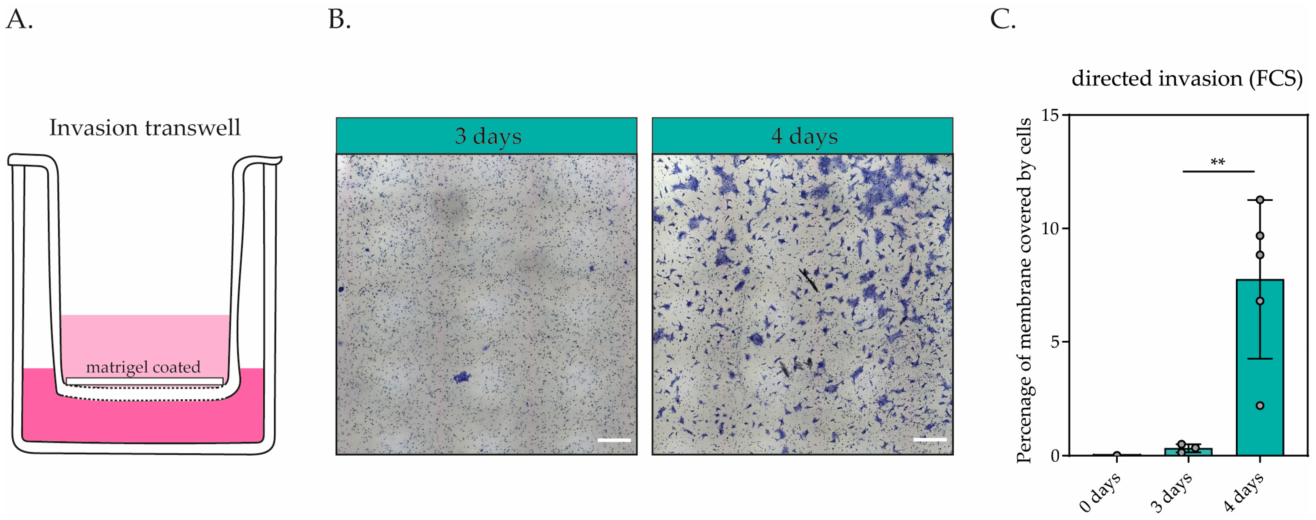 Organoids 03 00013 g004