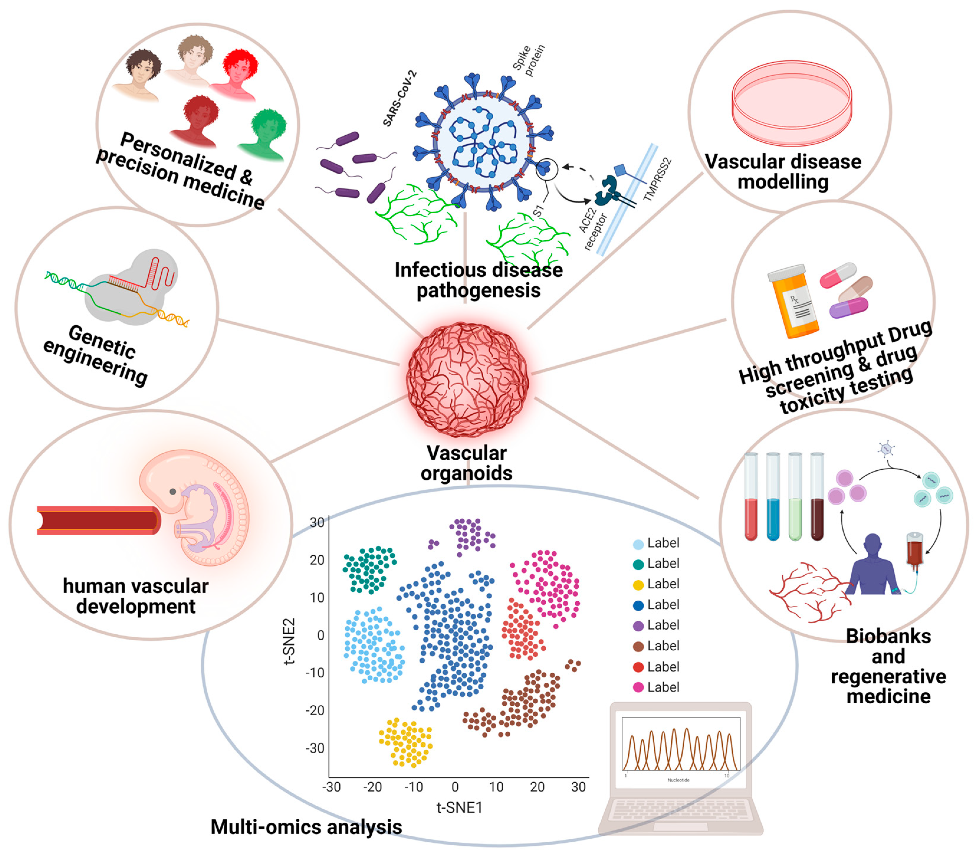 Organoids 03 00014 g002