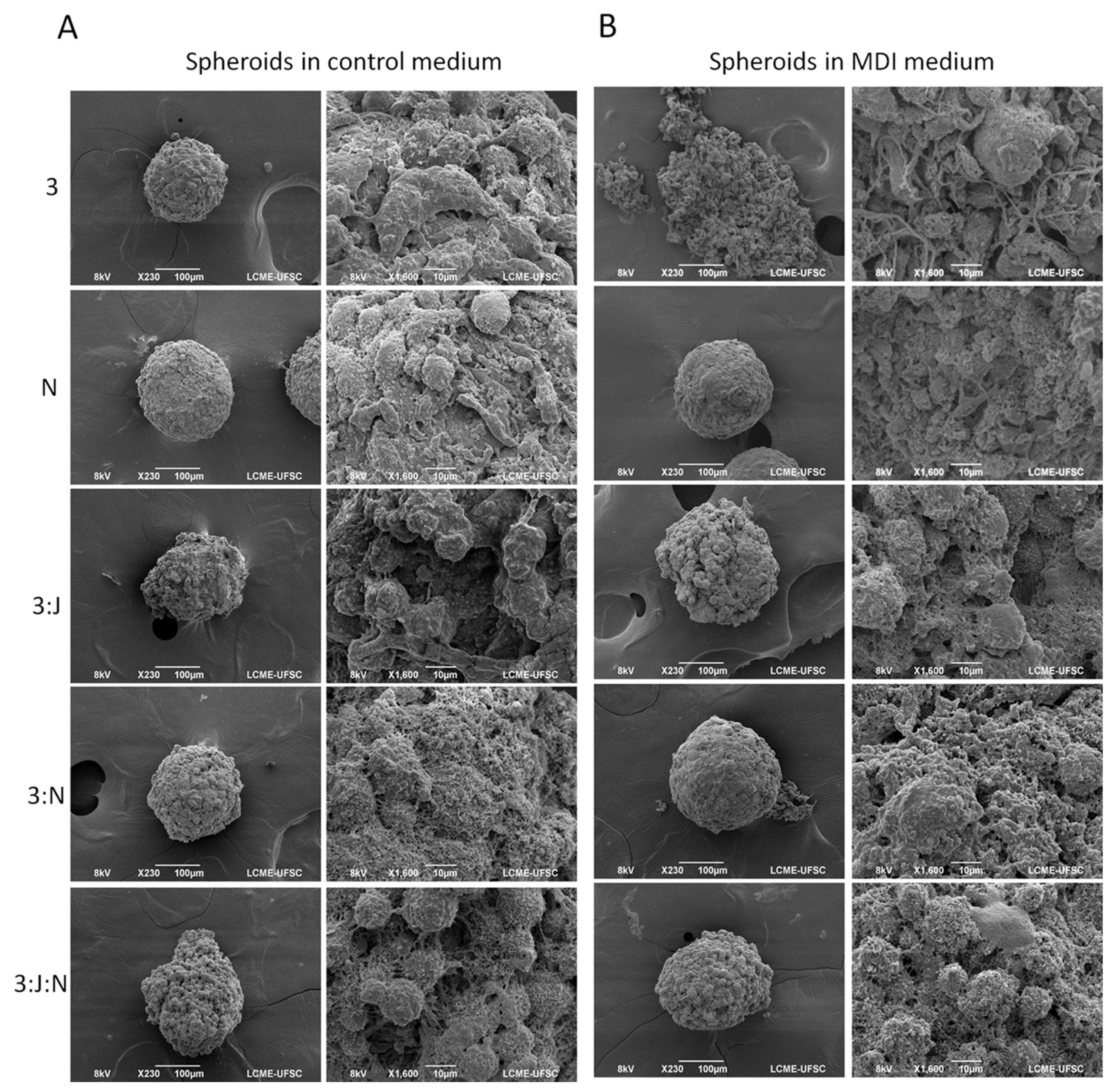 Organoids 03 00018 g002