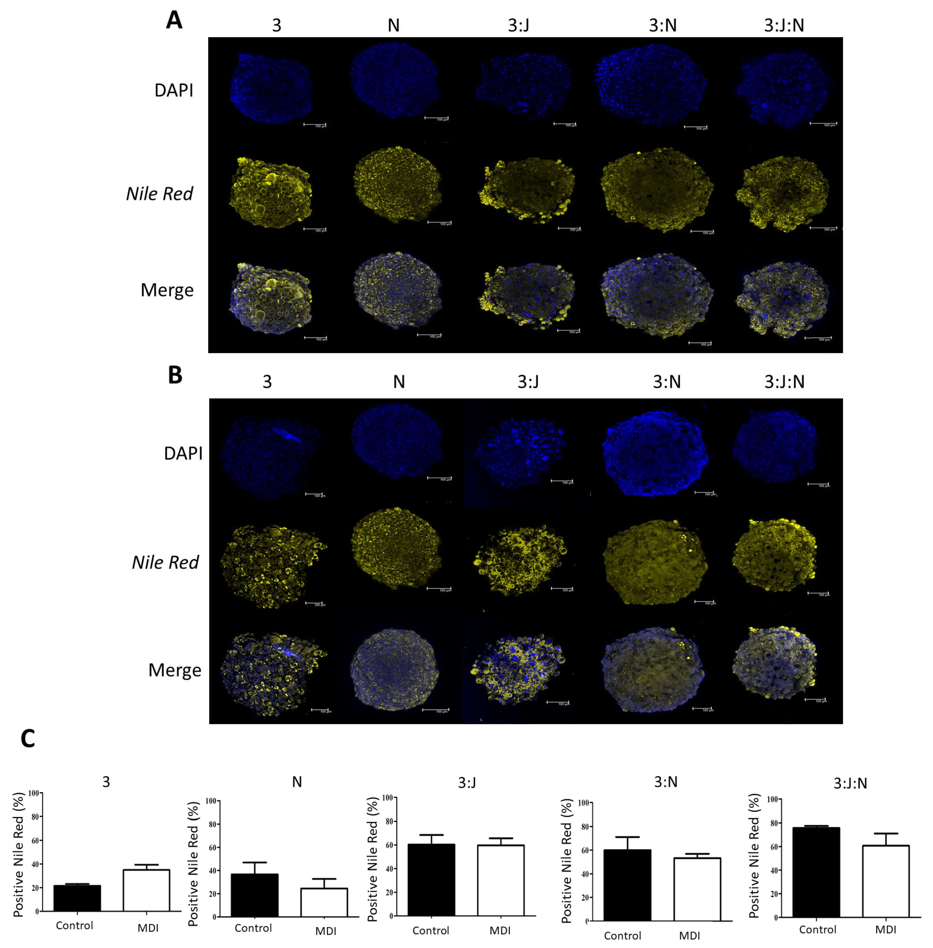 Organoids 03 00018 g003