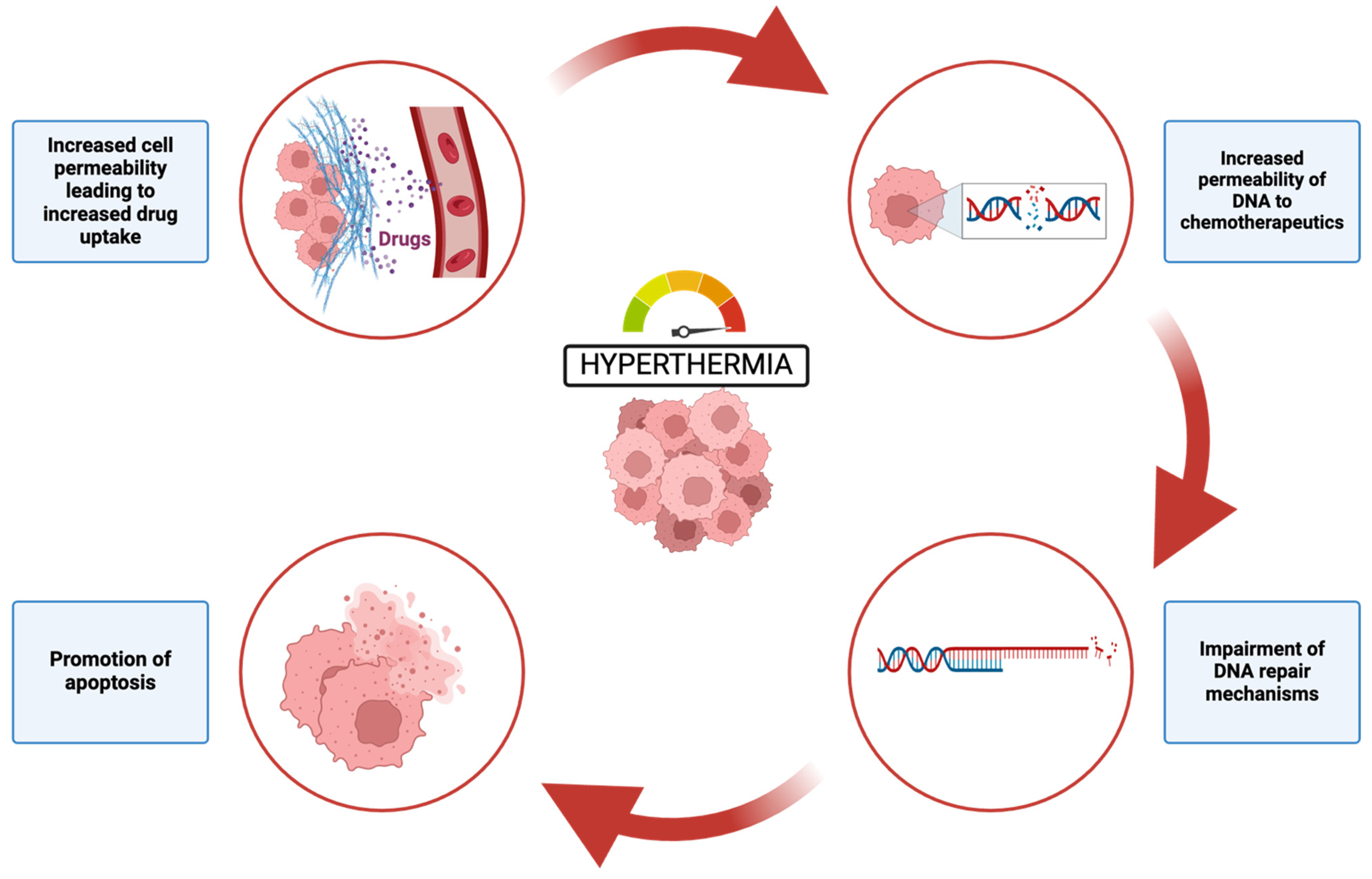 Organoids 04 00002 g002