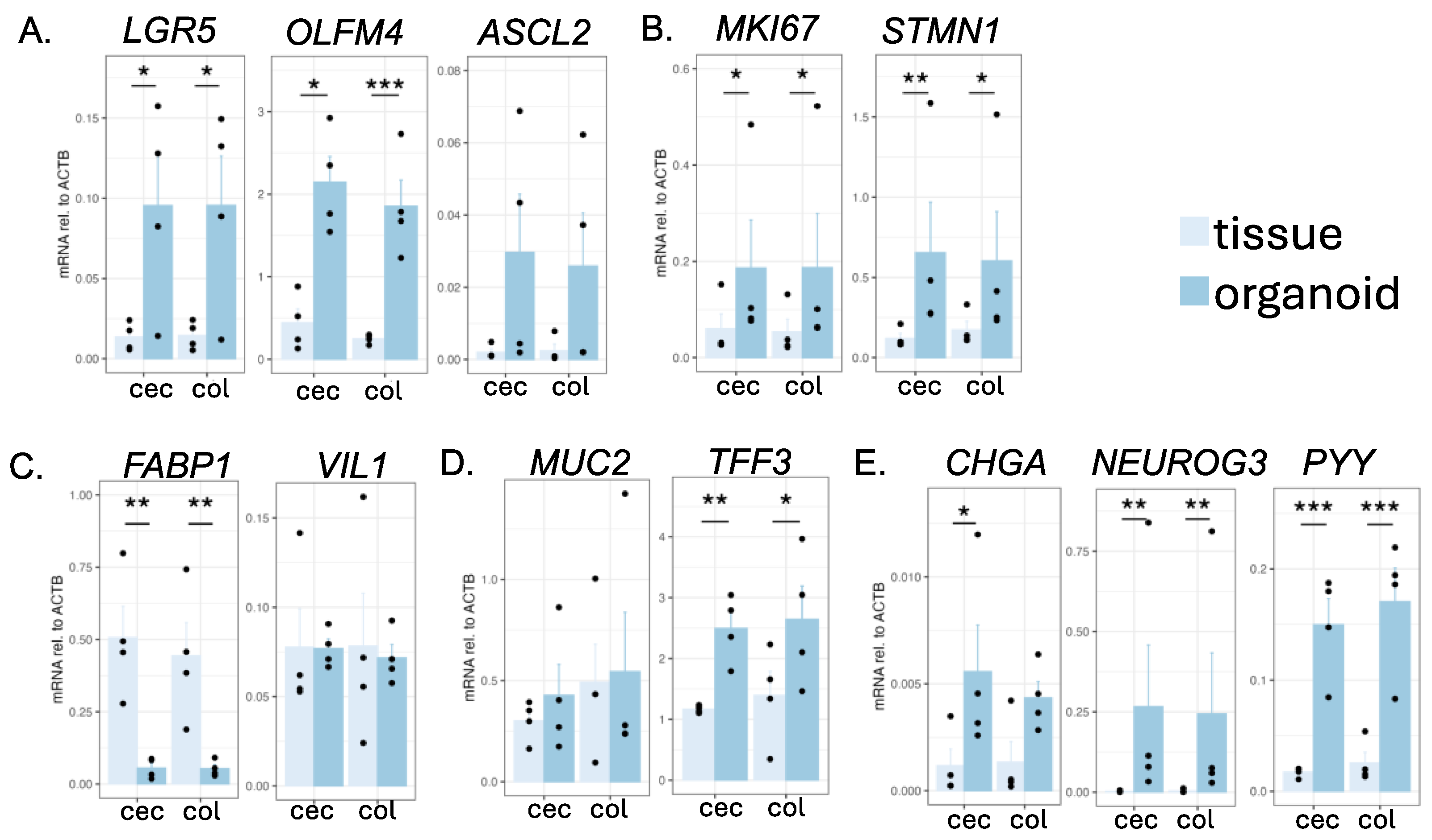 Organoids 04 00003 g002