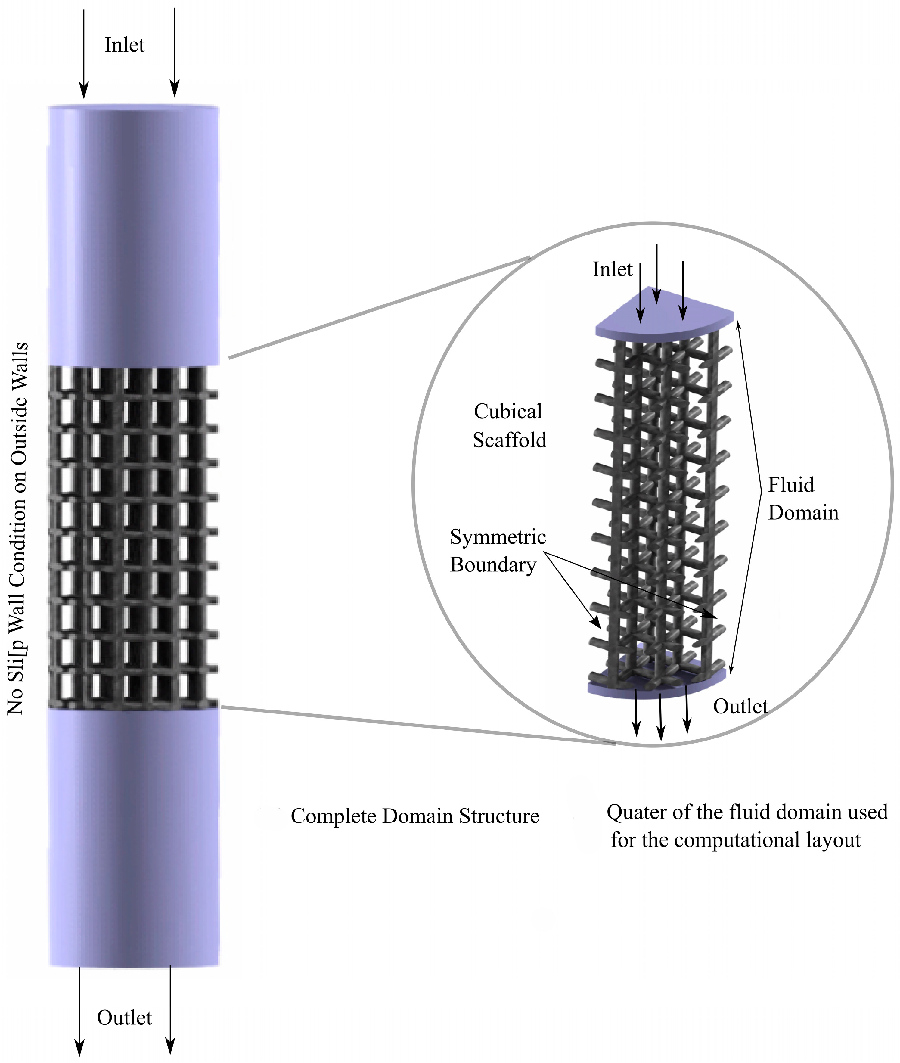 Organoids 04 00008 g001