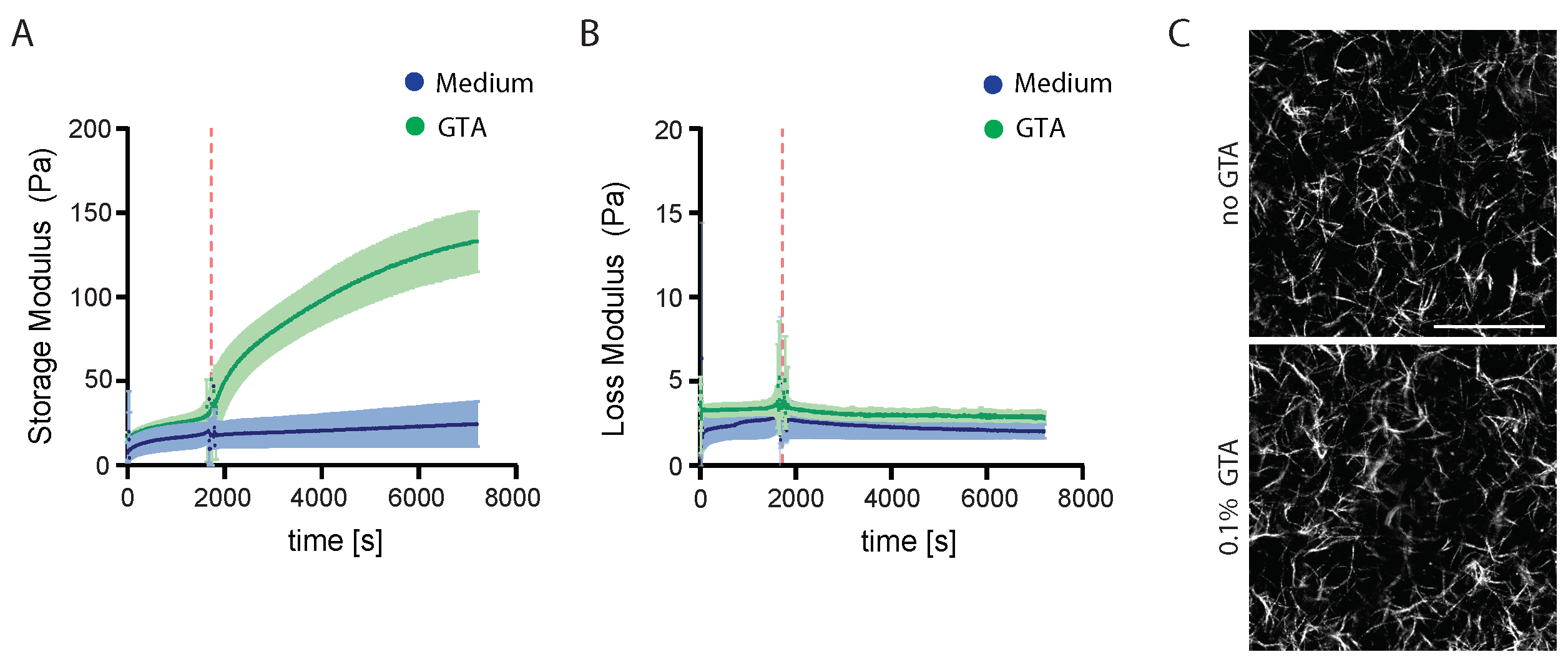 Organoids 04 00011 g001