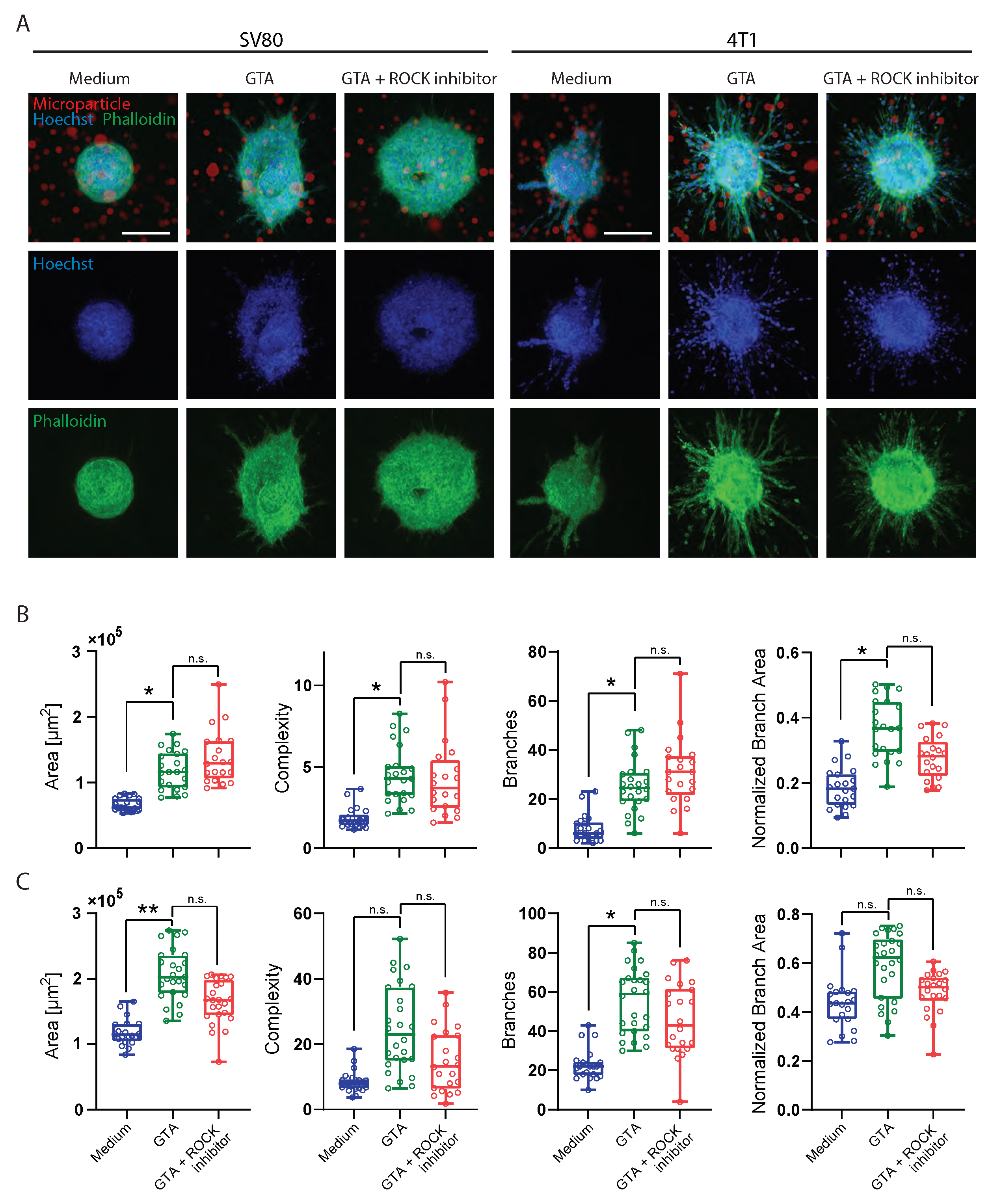 Organoids 04 00011 g002