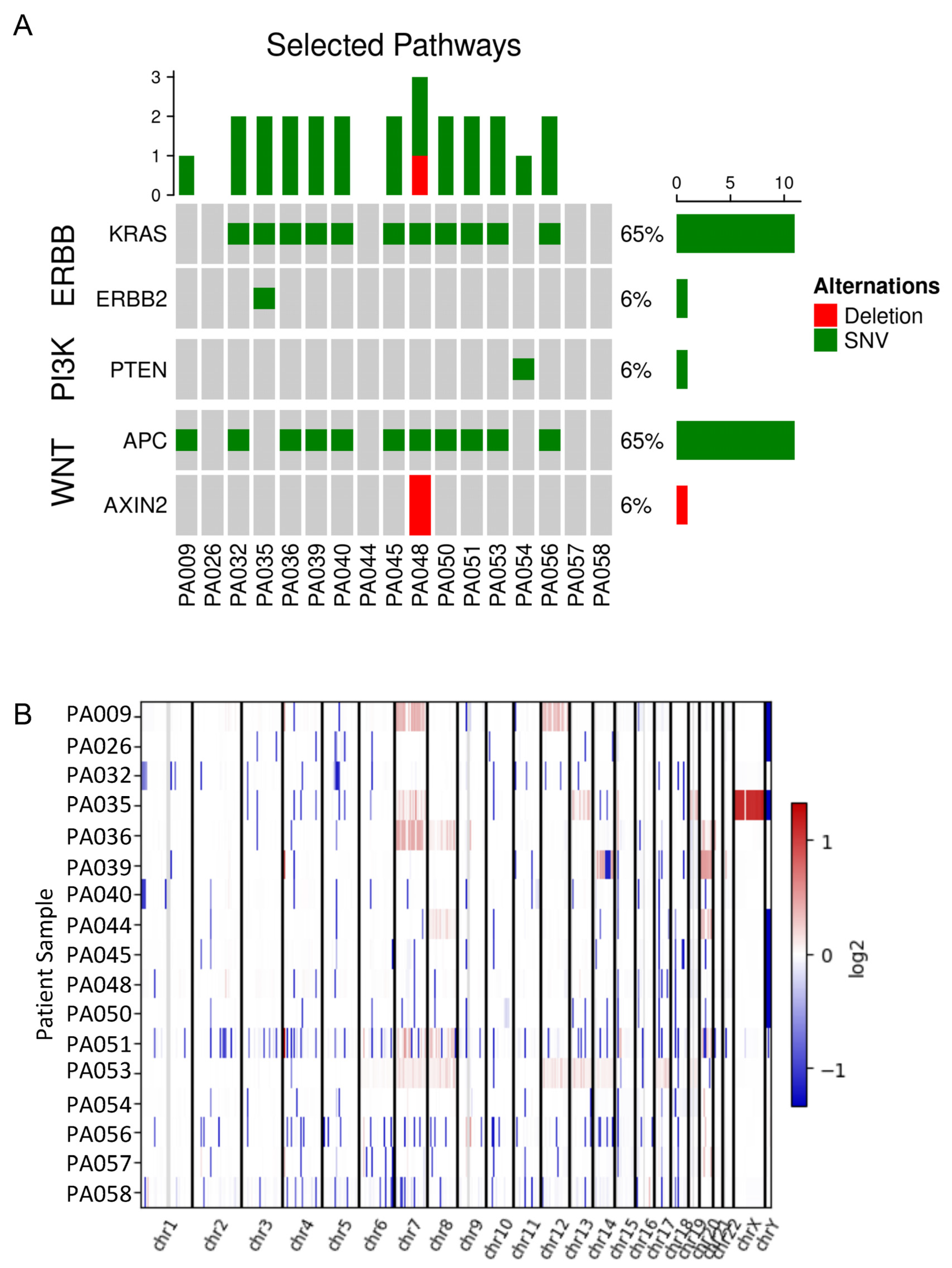 Organoids 04 00015 g002