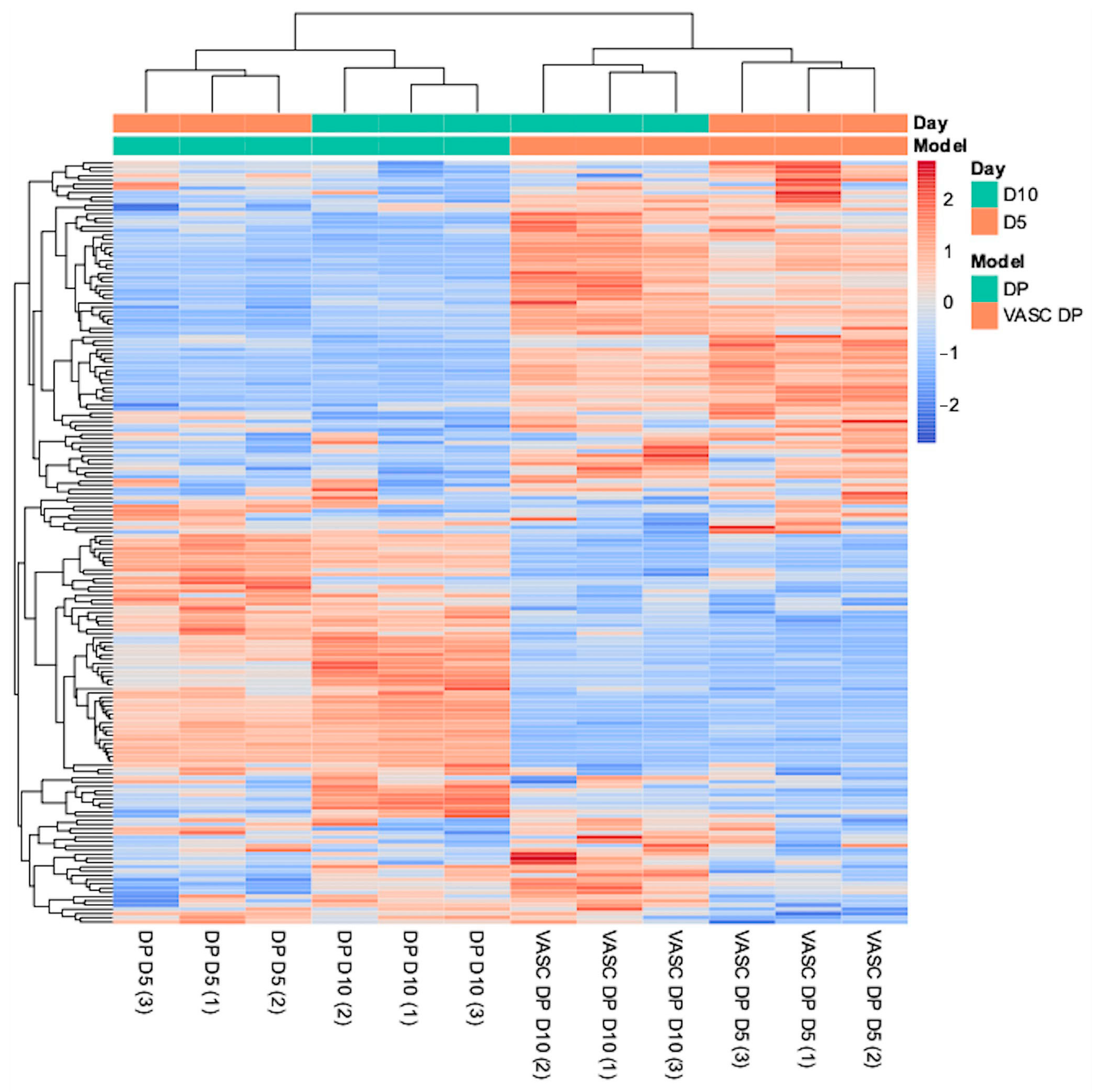Organoids 04 00017 g005 Organoids 04 00017 g005