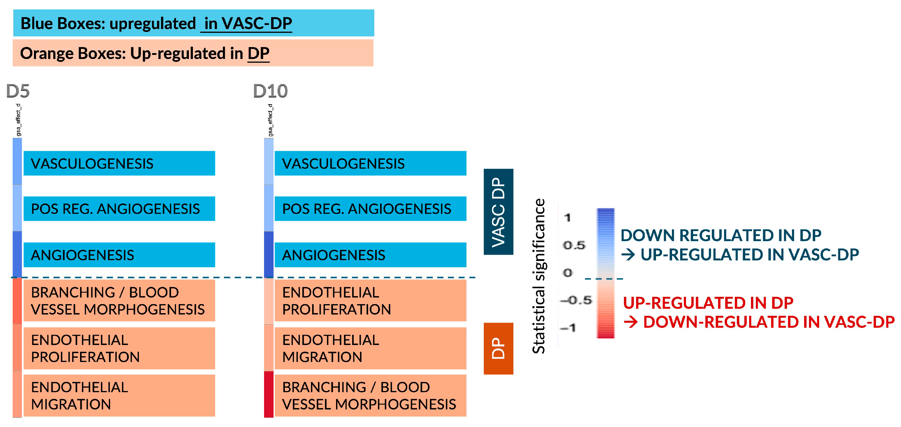 Organoids 04 00017 g006 Organoids 04 00017 g006
