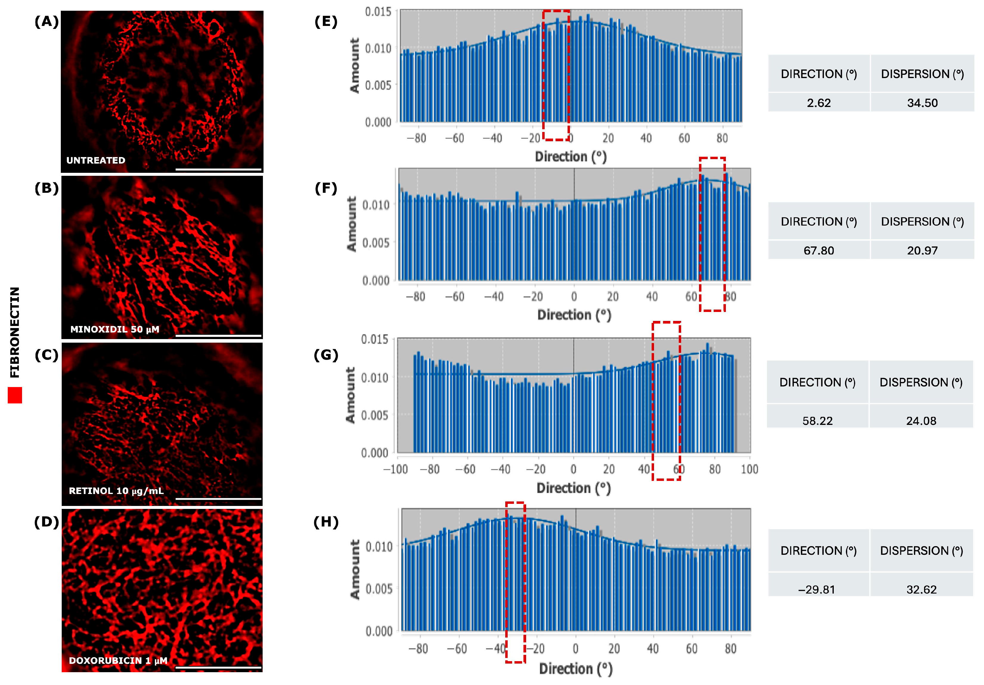 Organoids 04 00017 g011 Organoids 04 00017 g011
