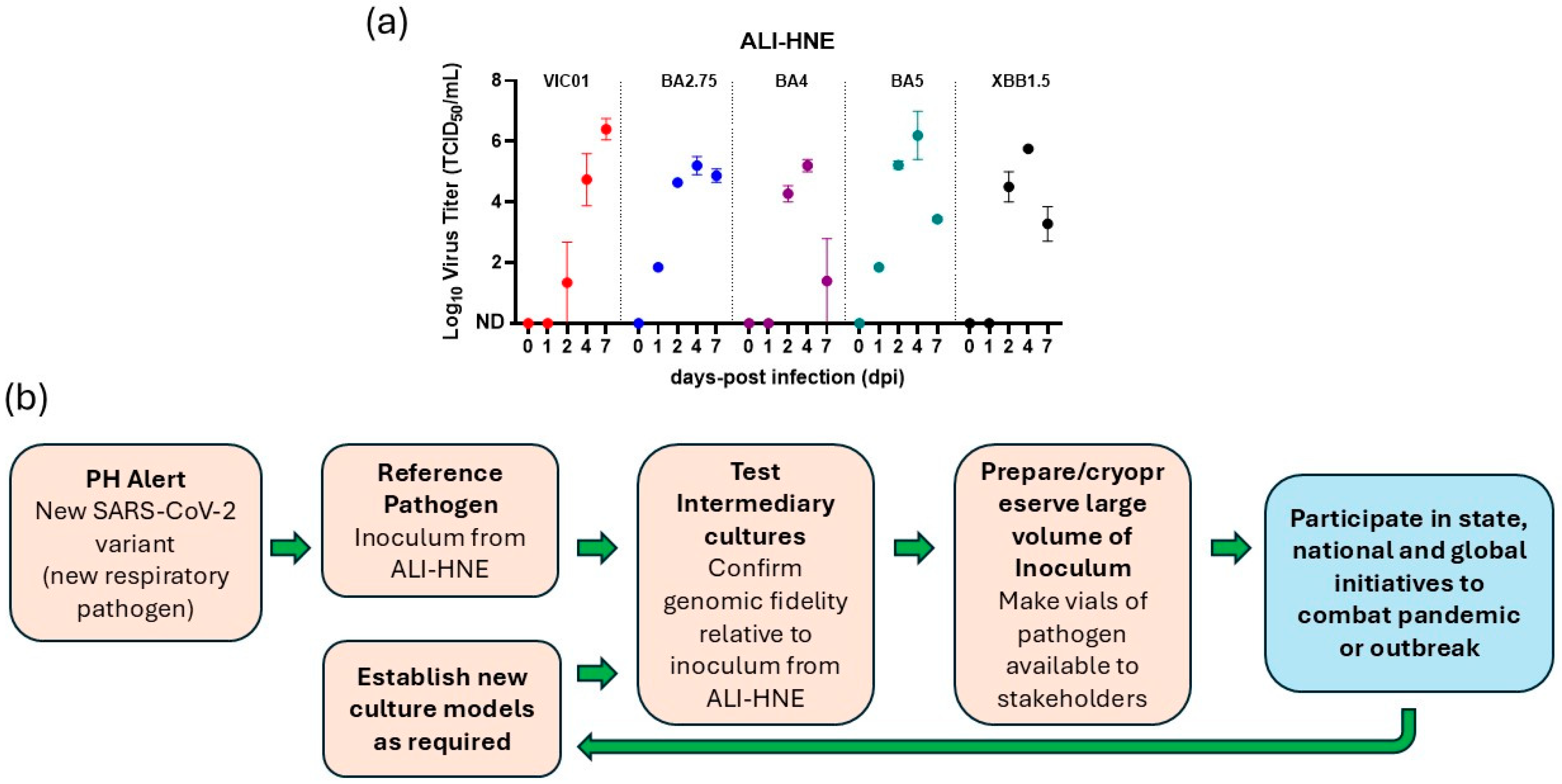 Organoids 04 00021 g003