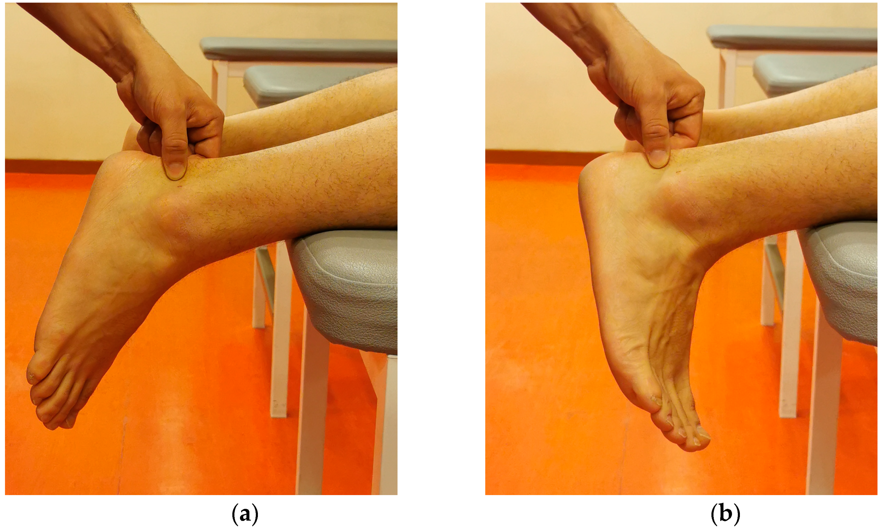 Osteology 01 00017 g001