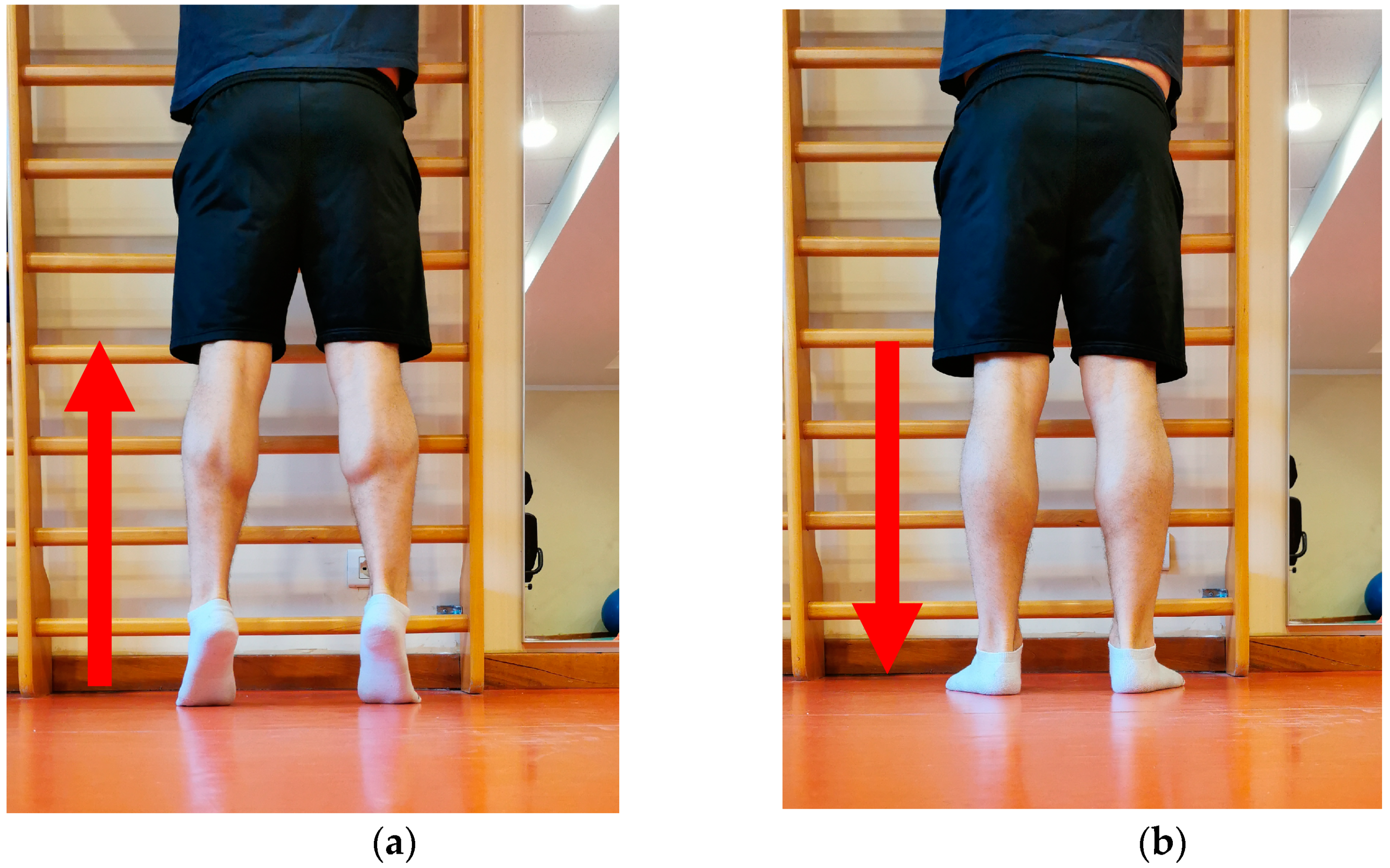 Osteology 01 00017 g002
