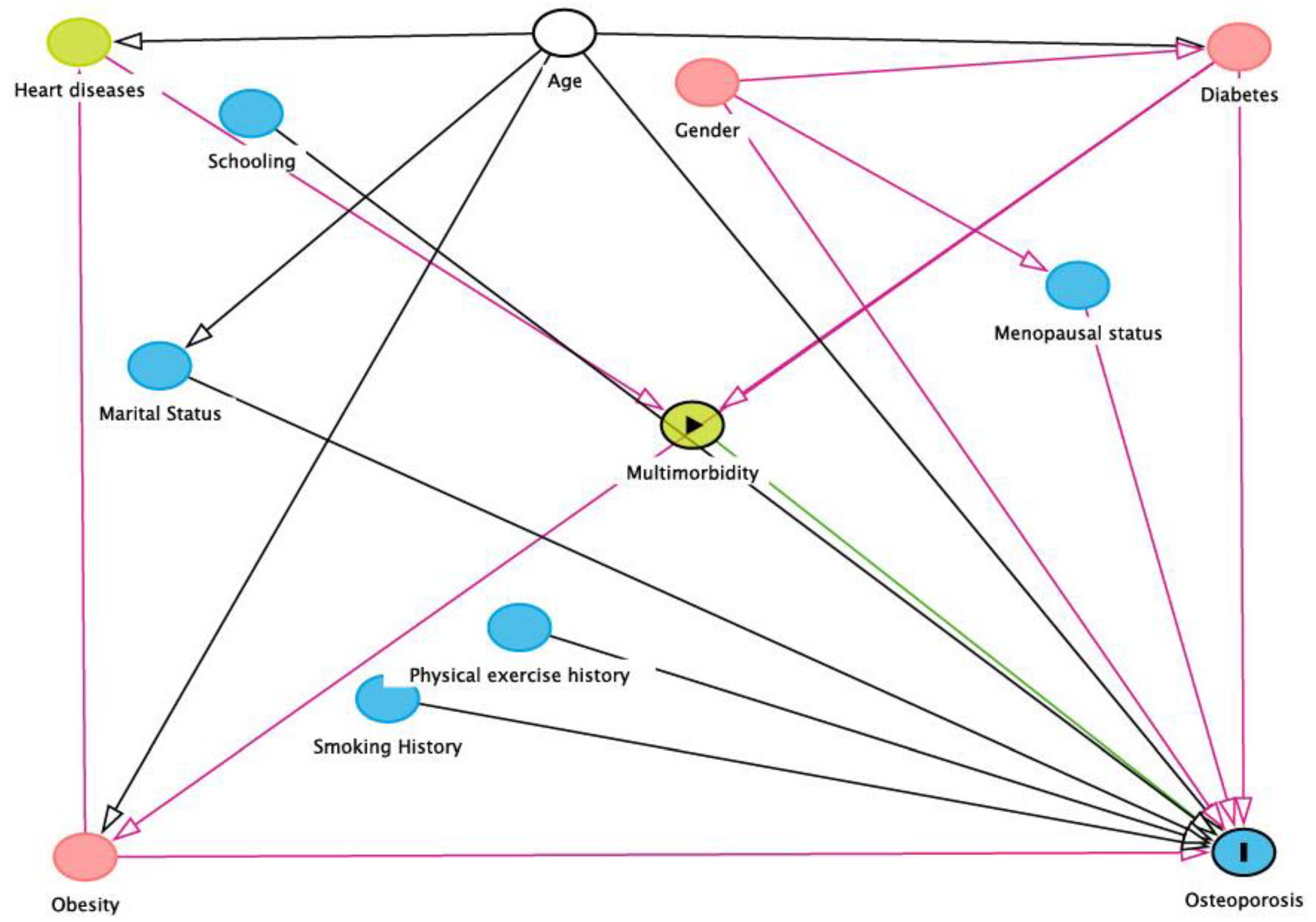 Osteology 01 00018 g001