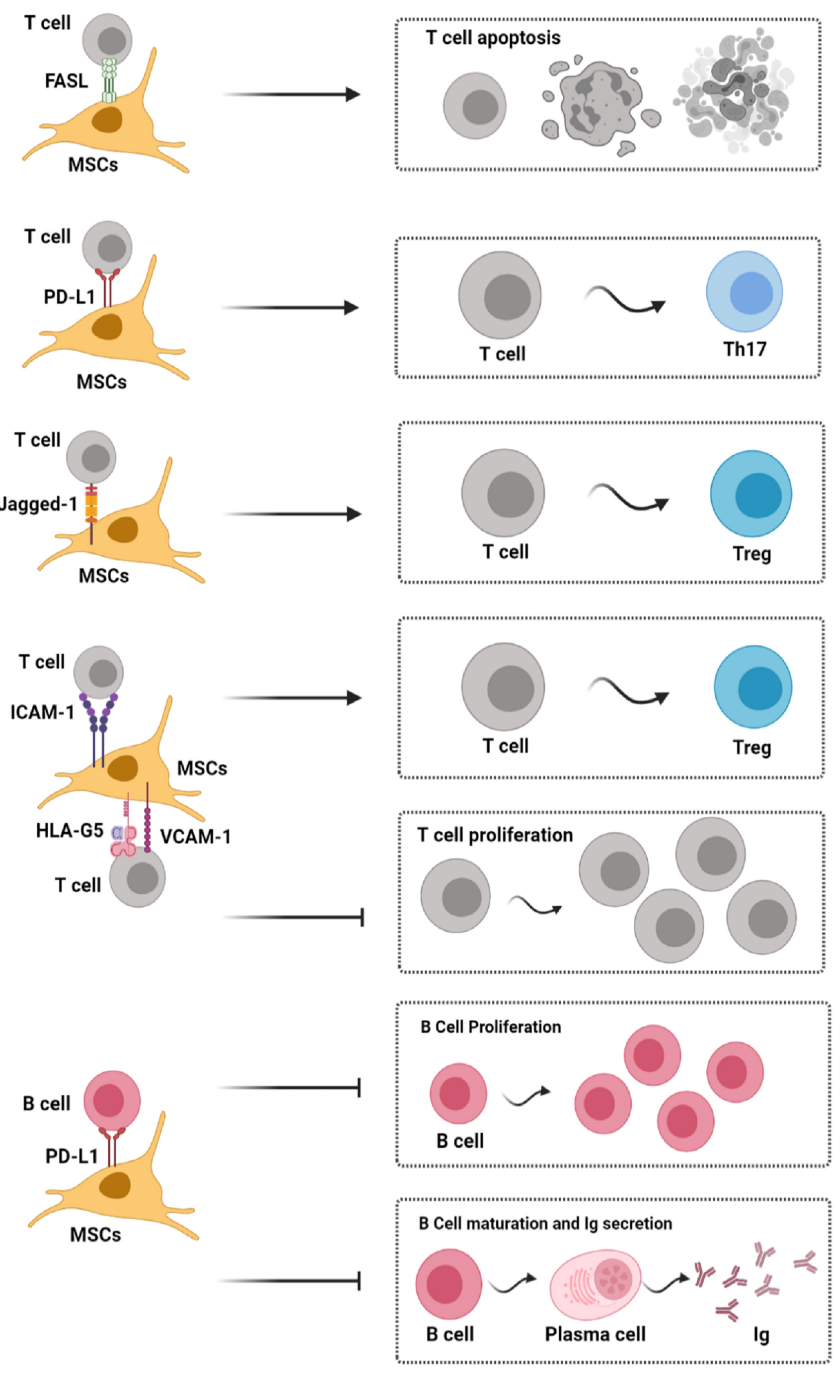 Osteology 01 00020 g002 Osteology 01 00020 g002