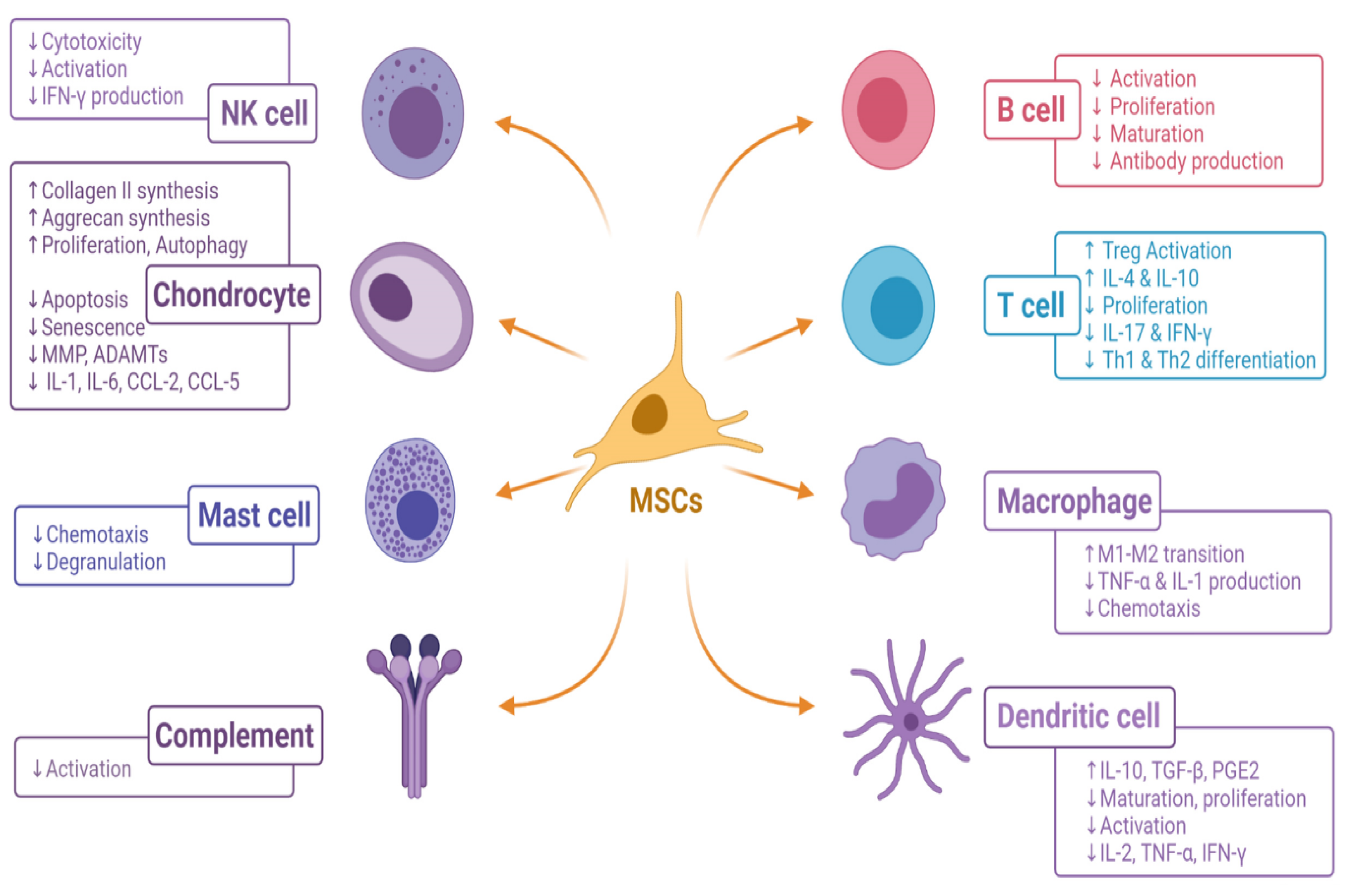 Osteology 01 00020 g003 Osteology 01 00020 g003